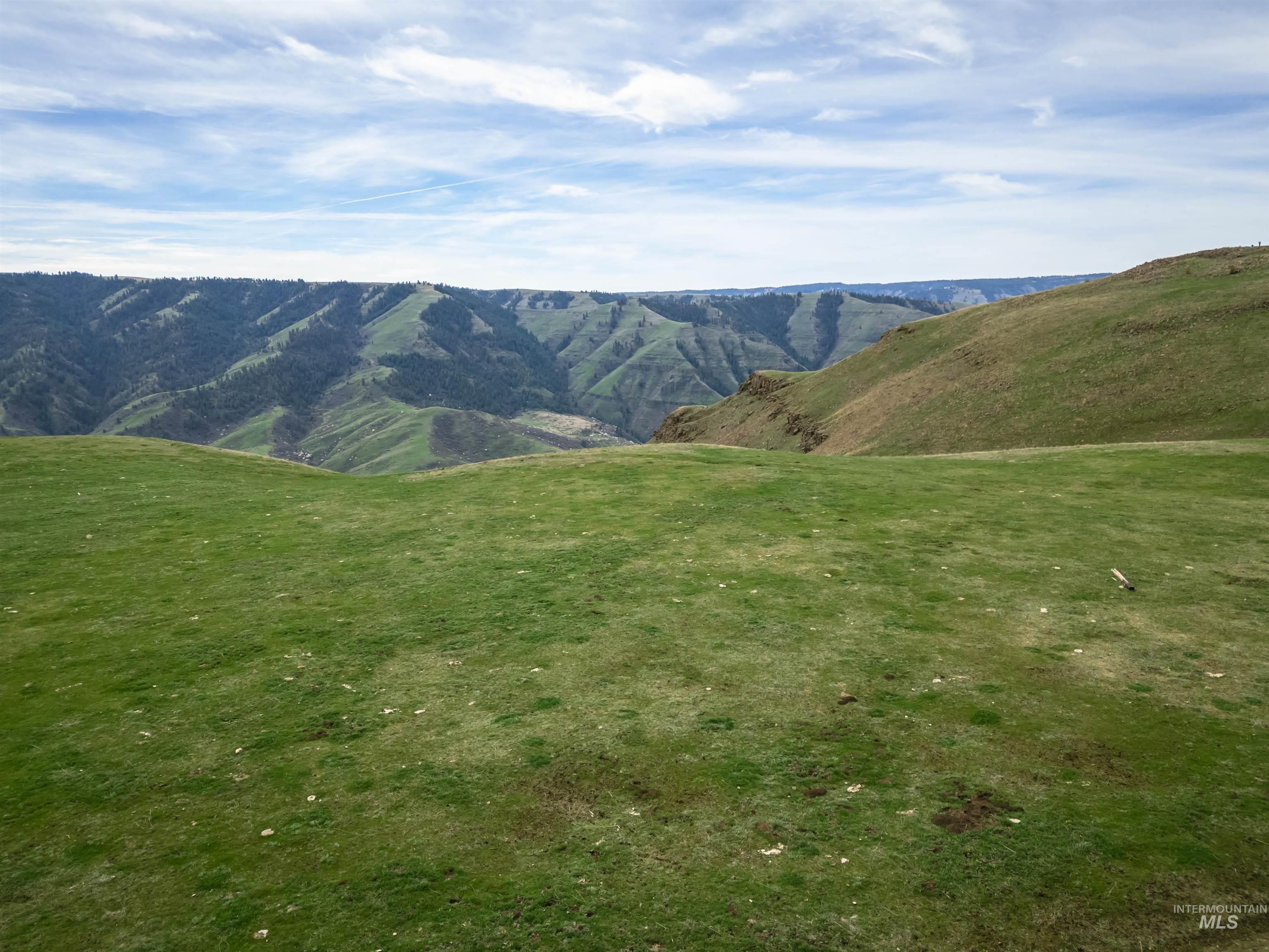Lot 9 Salmon River Canyon Estates, Grangeville, Idaho 83530, Land For Sale, Price $239,000, 98980879