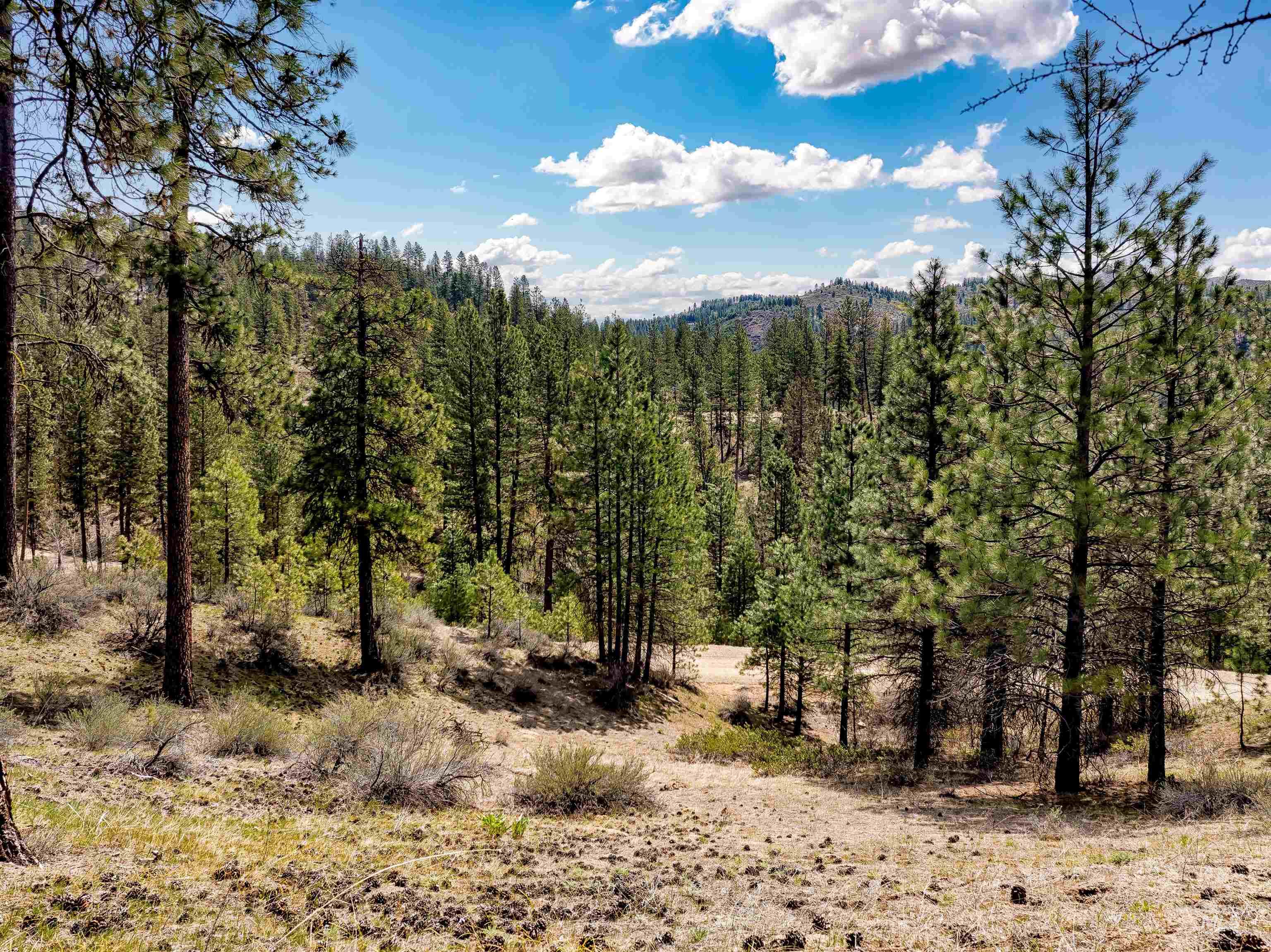 LOT 16 Napias Sub, Boise, Idaho 83716, Land For Sale, Price $175,000, 98980884