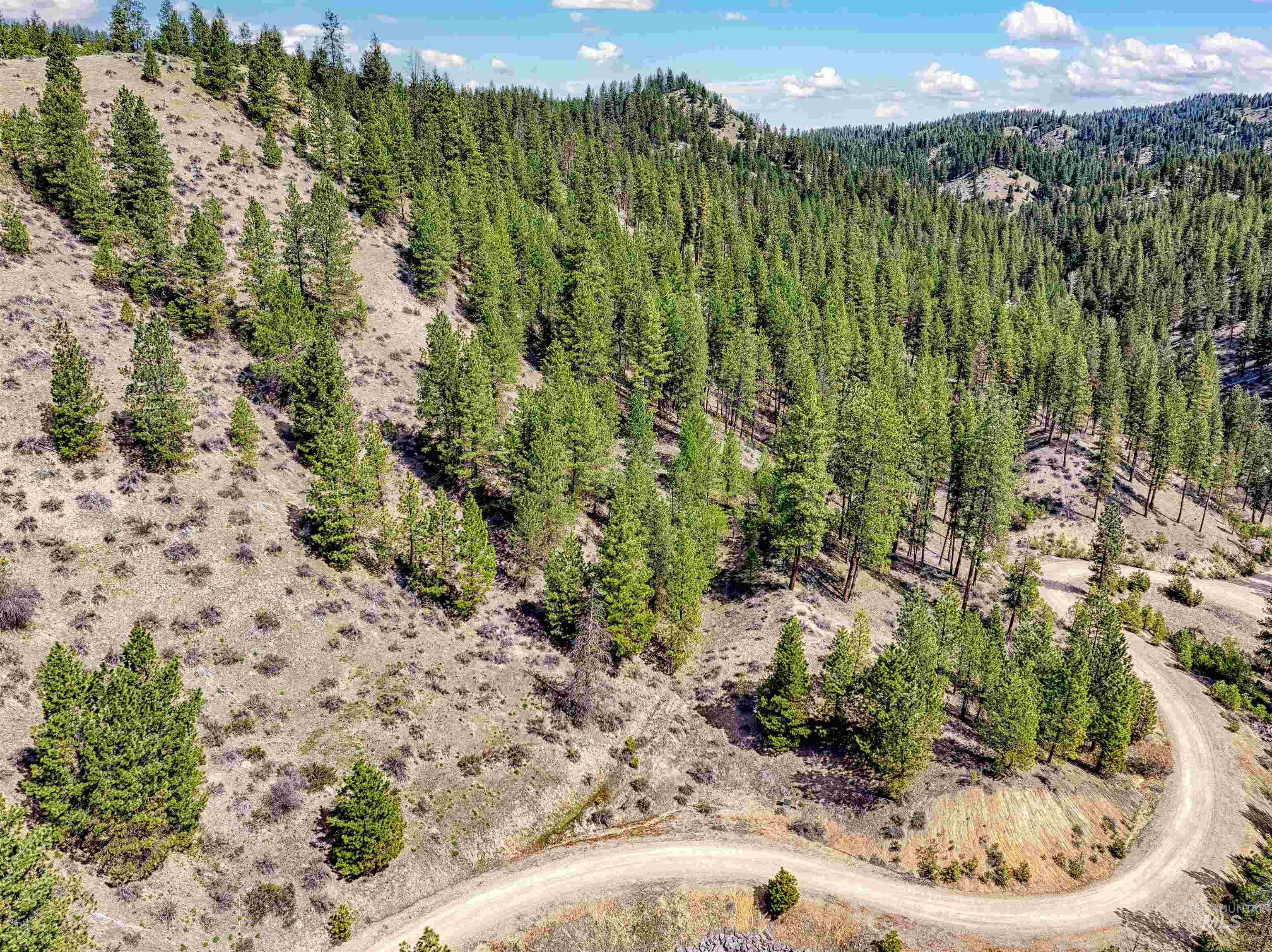 LOT 16 Napias Sub, Boise, Idaho 83716, Land For Sale, Price $175,000, 98980884