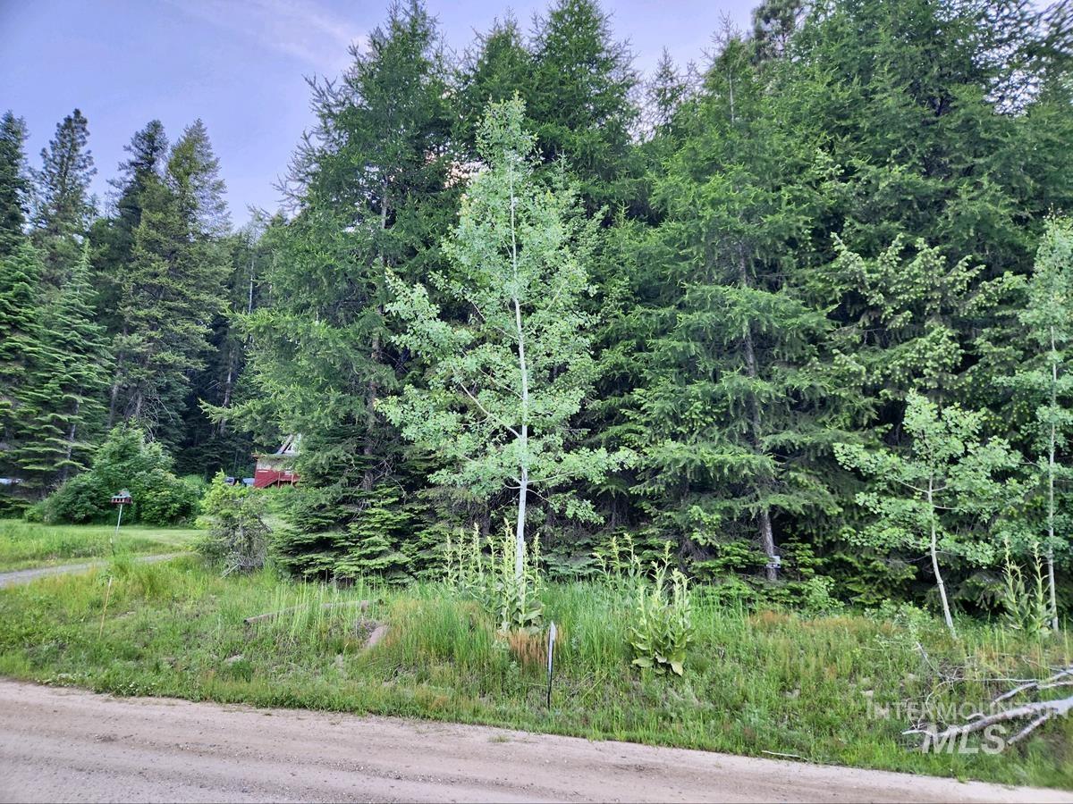 1457 West Mountain Road, Donnelly, Idaho 83615, Land For Sale, Price $309,000,MLS 98980891