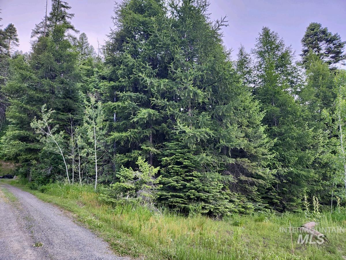 1457 West Mountain Road, Donnelly, Idaho 83615, Land For Sale, Price $309,000, 98980891