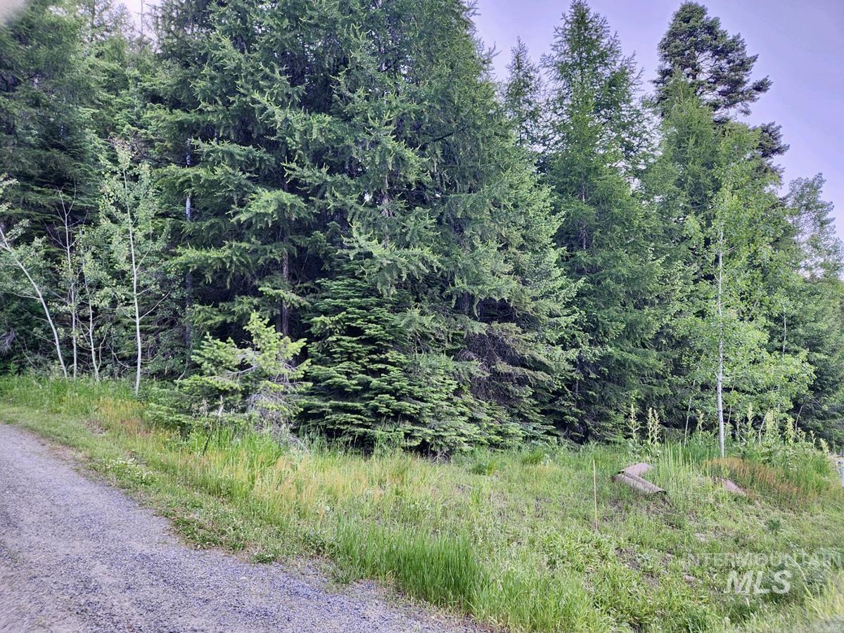 1457 West Mountain Road, Donnelly, Idaho 83615, Land For Sale, Price $309,000, 98980891