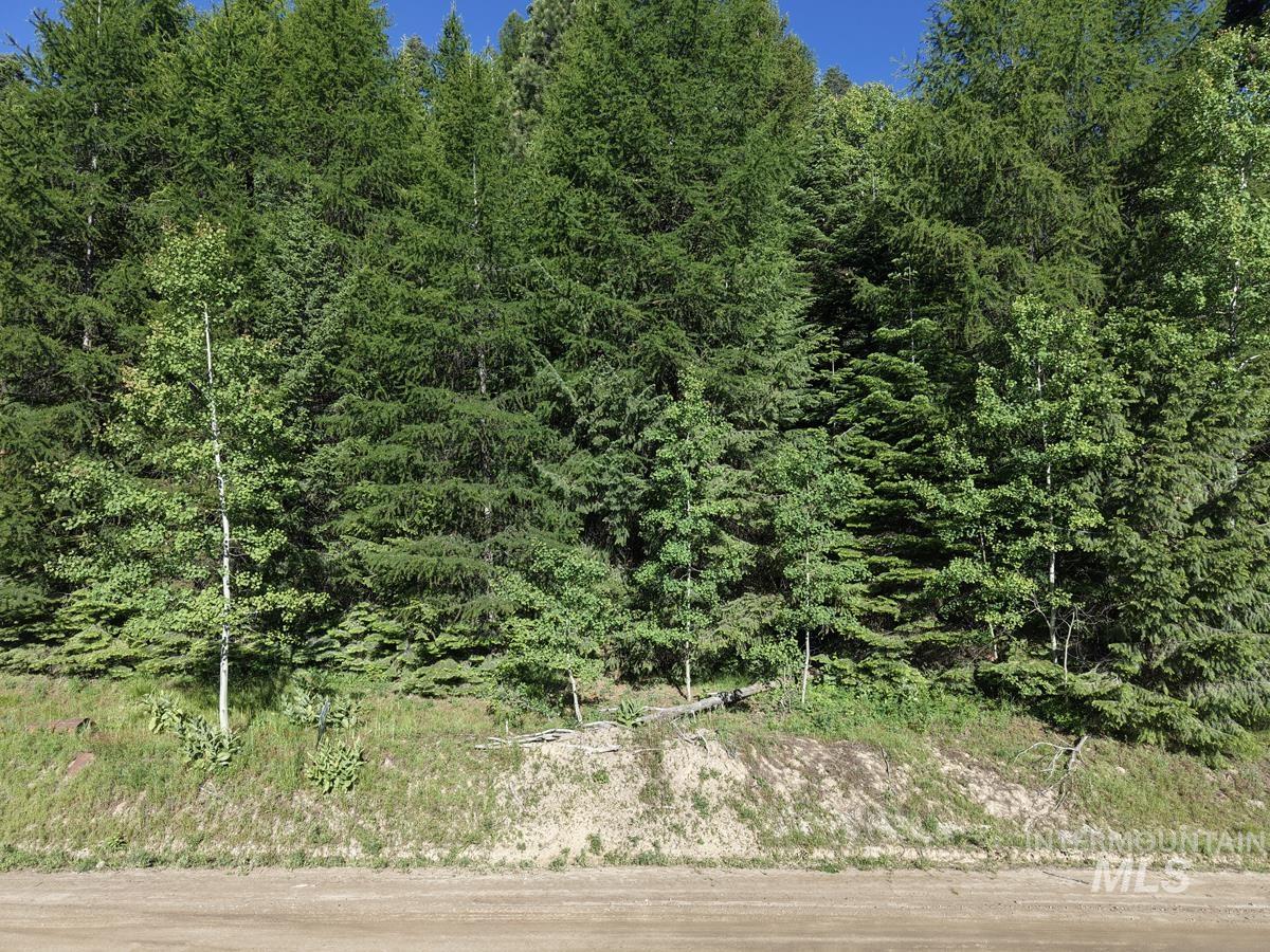 1457 West Mountain Road, Donnelly, Idaho 83615, Land For Sale, Price $309,000,MLS 98980891
