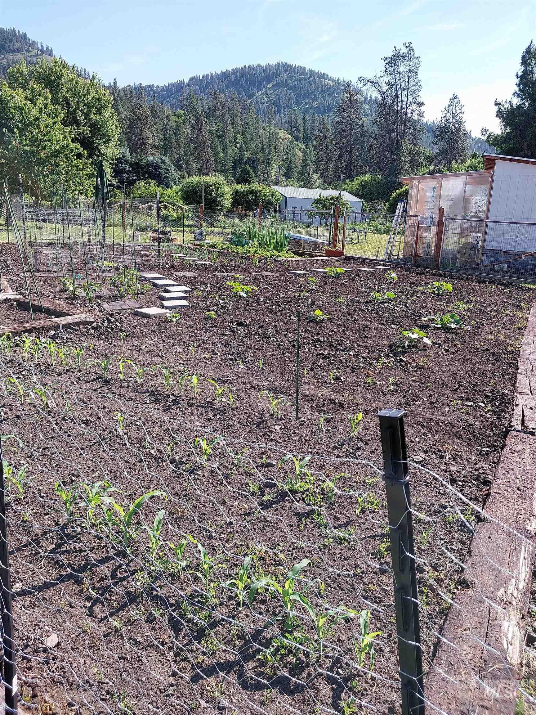 1639 Jenny Lane Kamiah ID 83536, Kamiah, Idaho 83536, 3 Bedrooms, 2 Bathrooms, Residential For Sale, Price $375,000,MLS 98980907