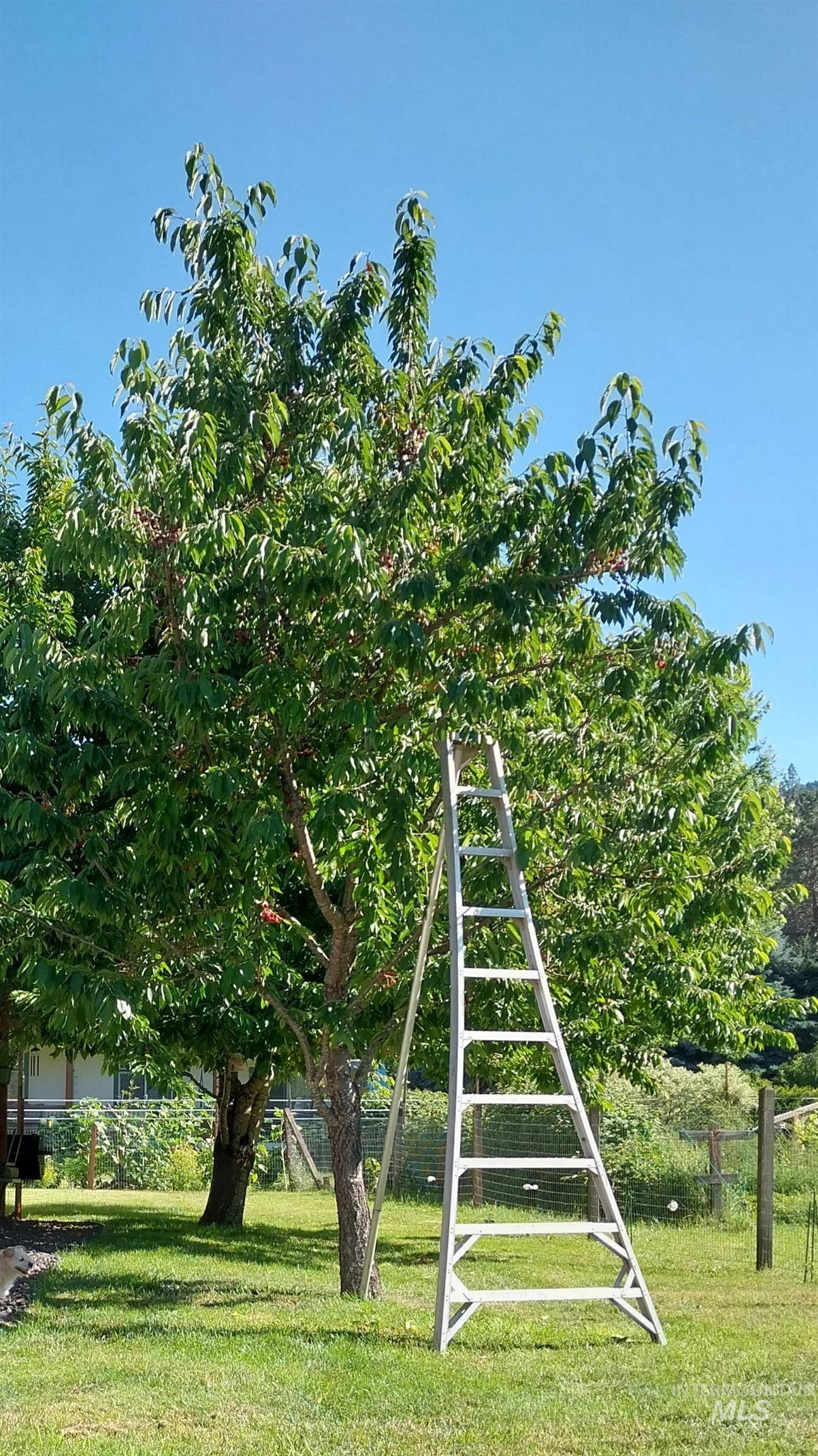 1639 Jenny Lane Kamiah ID 83536, Kamiah, Idaho 83536, 3 Bedrooms, 2 Bathrooms, Residential For Sale, Price $375,000,MLS 98980907