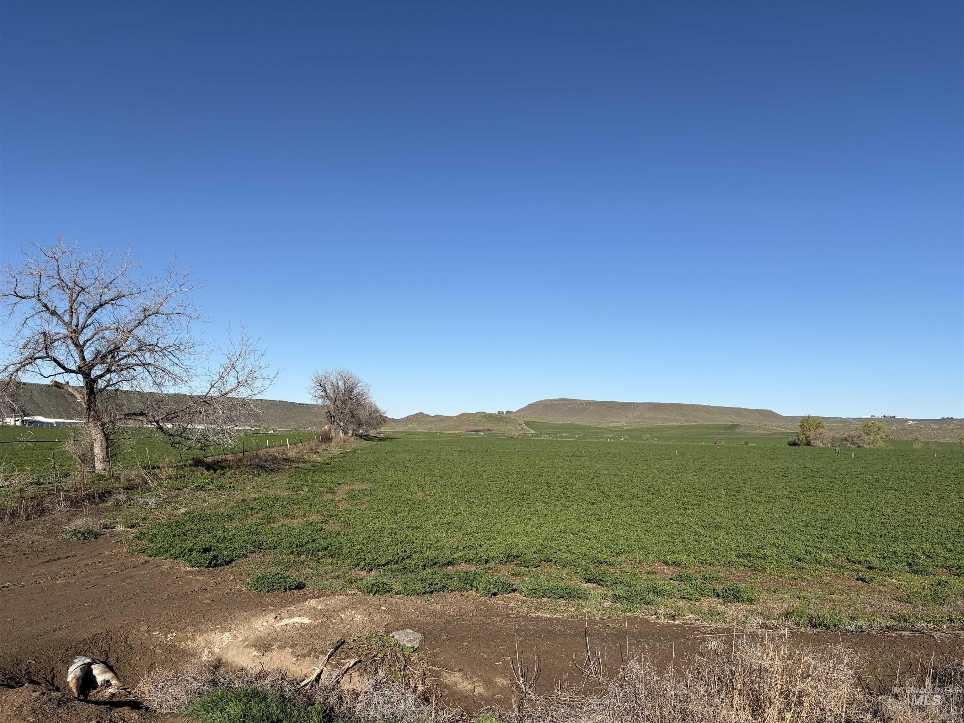 TBD S Thacker Road, Hammett, Idaho 83627, Land For Sale, Price $550,000, 98980932
