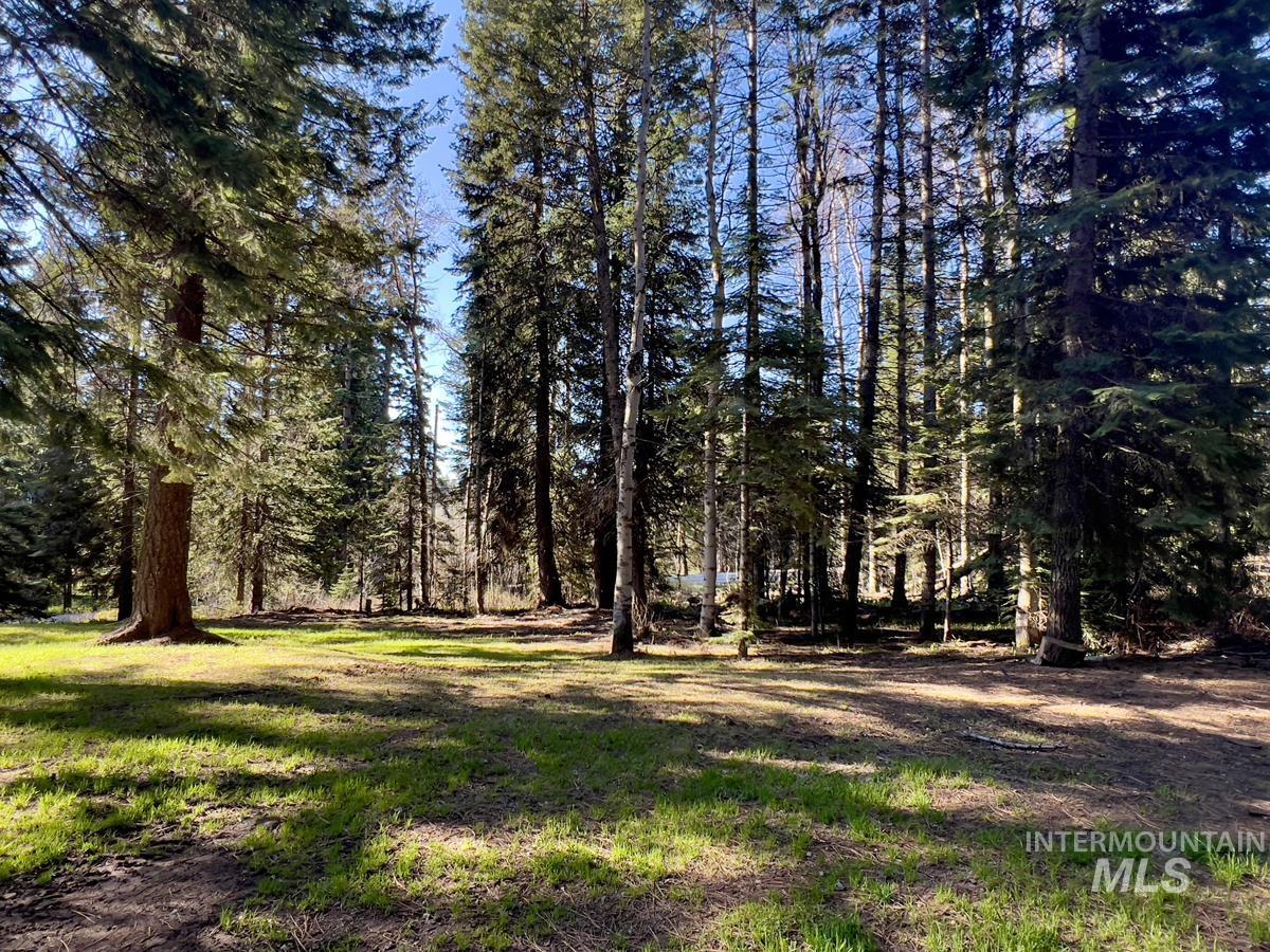1792 Canary Trail, Donnelly, Idaho 83615, Land For Sale, Price $249,000, 98980959