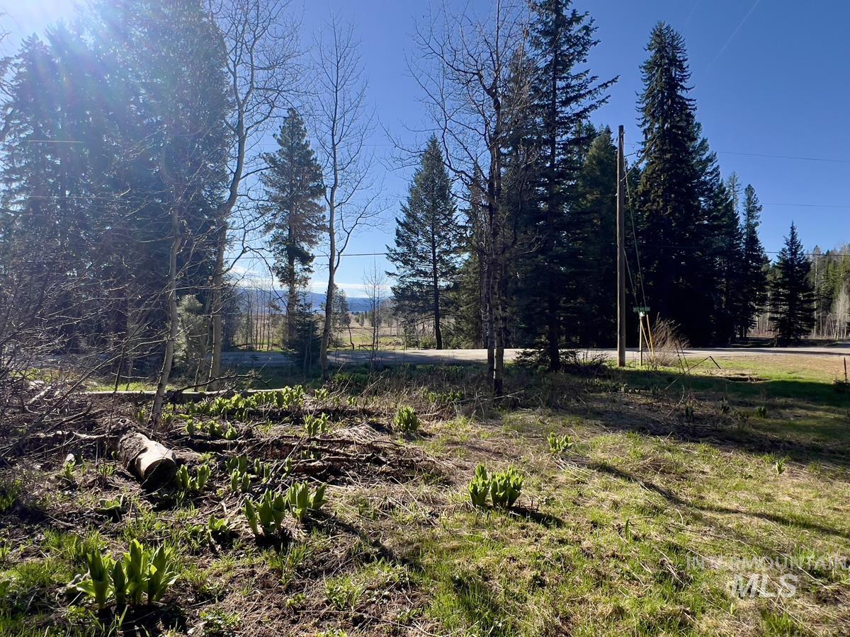 1792 Canary Trail, Donnelly, Idaho 83615, Land For Sale, Price $249,000, 98980959