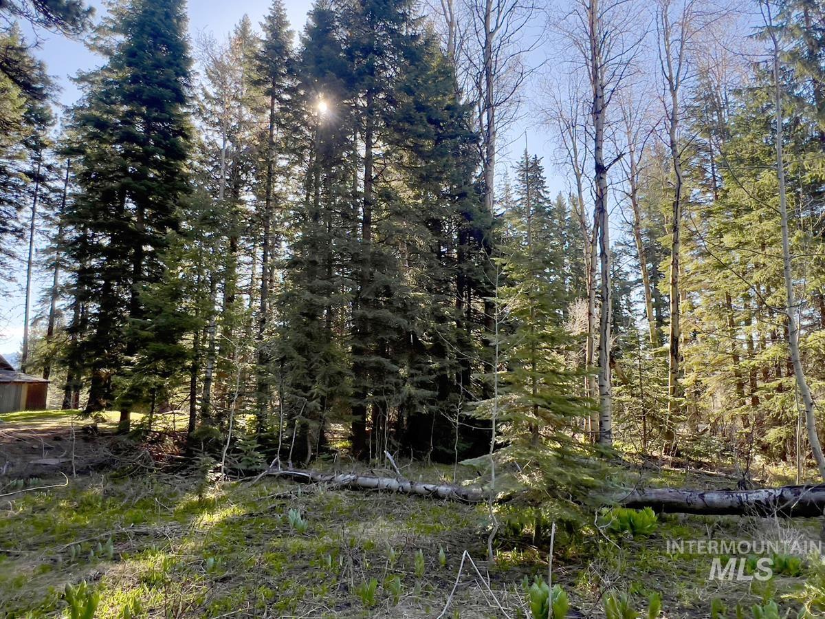 1792 Canary Trail, Donnelly, Idaho 83615, Land For Sale, Price $249,000, 98980959
