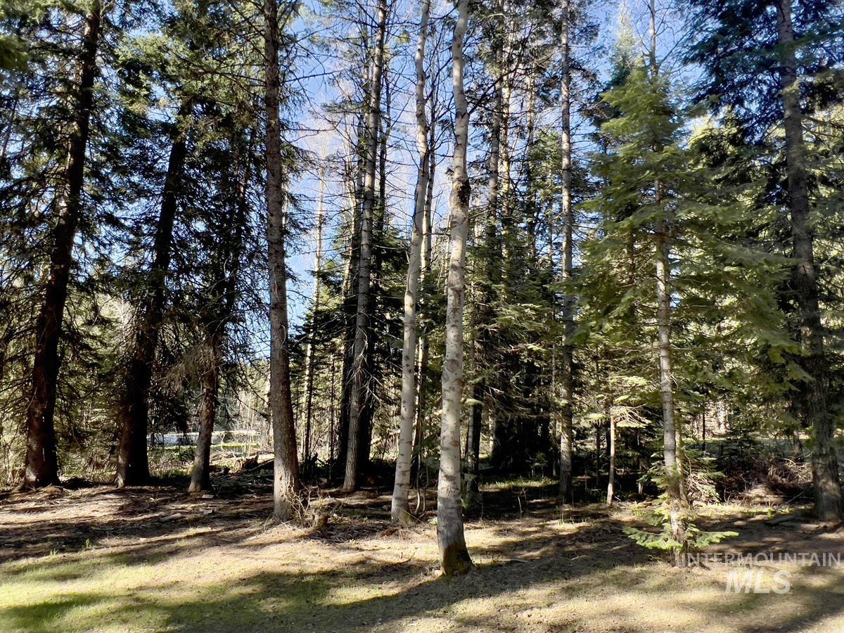 1792 Canary Trail, Donnelly, Idaho 83615, Land For Sale, Price $249,000, 98980959