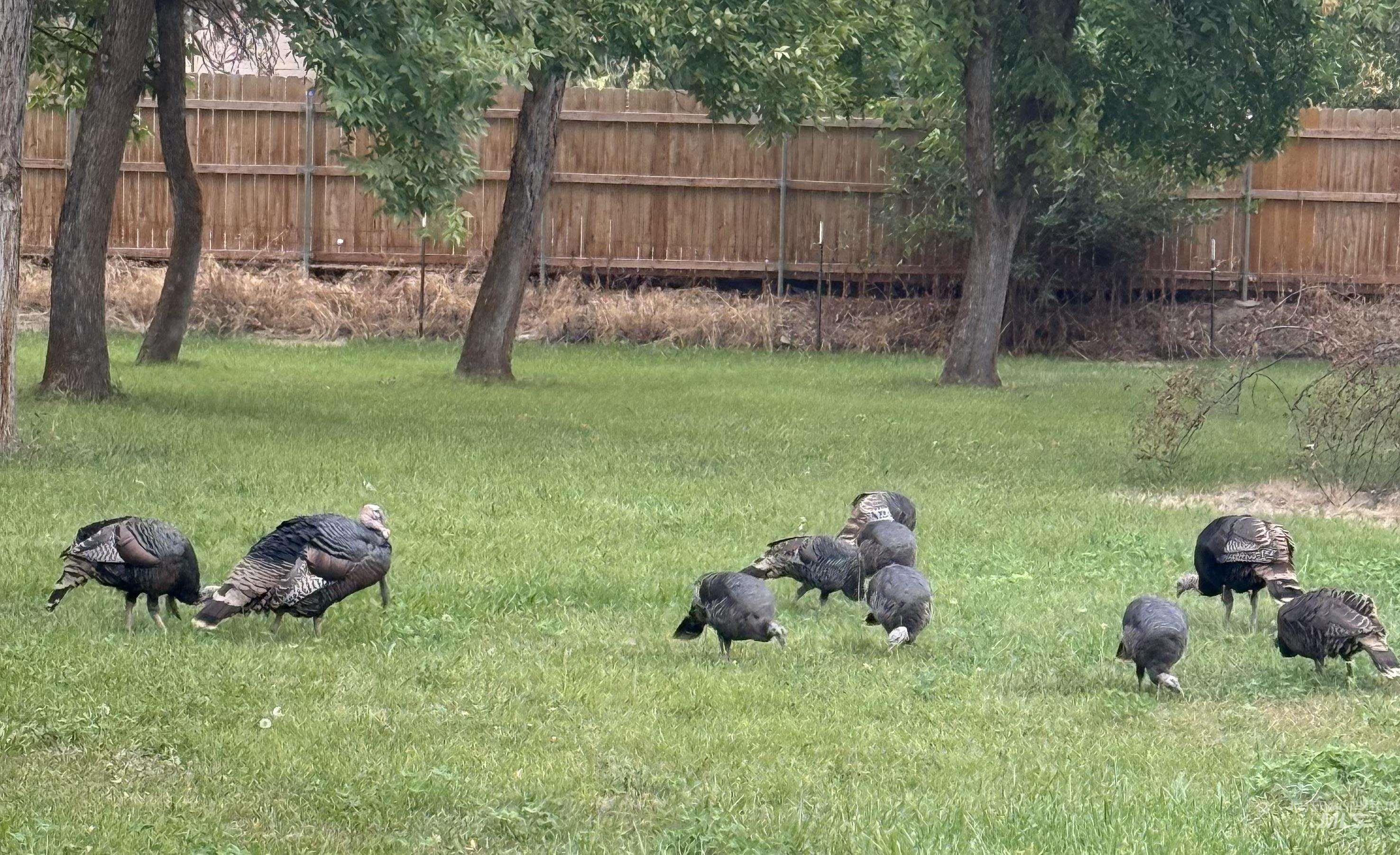 319 SnowMoody way, Ontario, Oregon 97914, 3 Bedrooms, 2 Bathrooms, Residential For Sale, Price $729,000,MLS 98980964