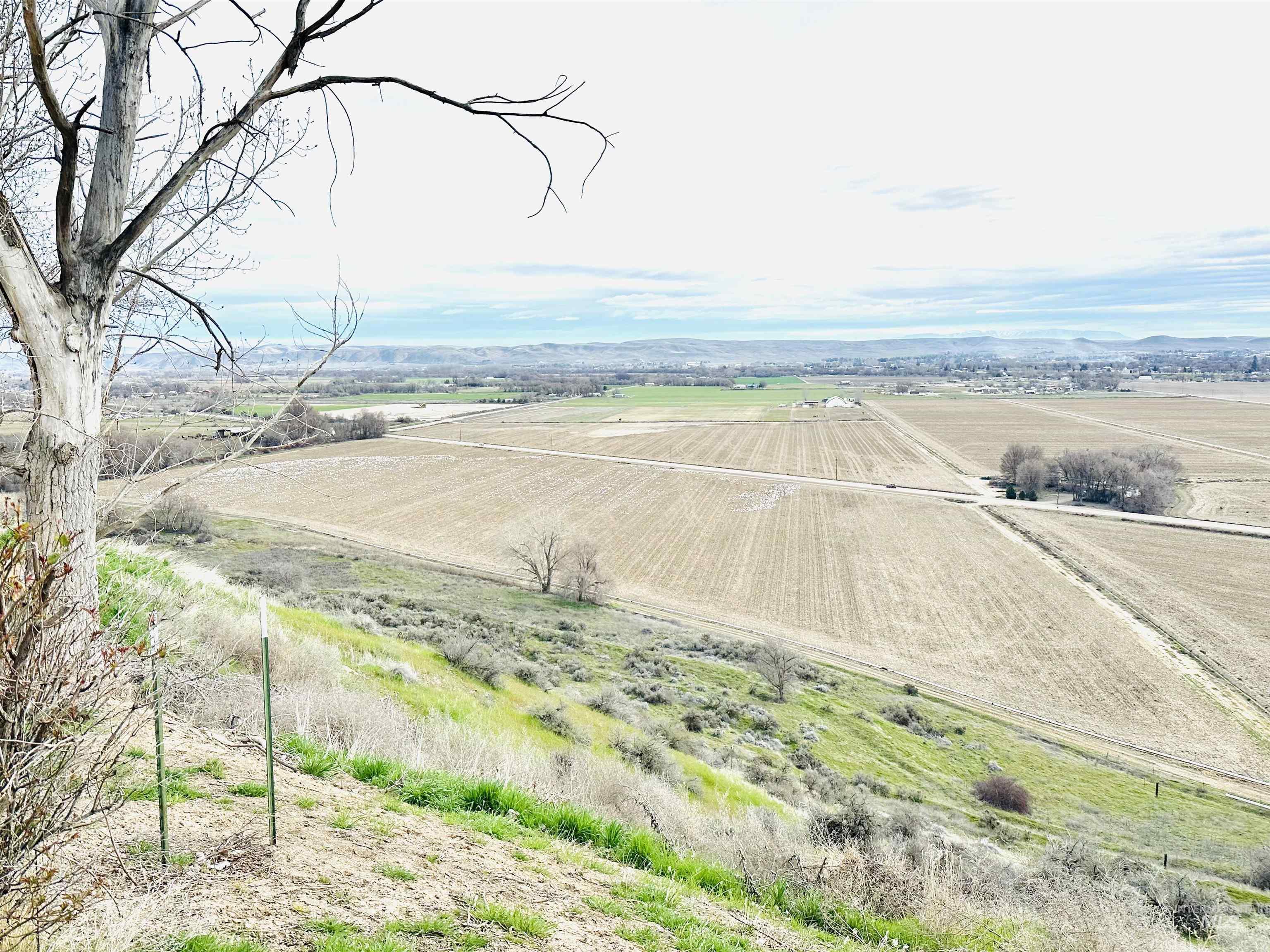 319 SnowMoody way, Ontario, Oregon 97914, 3 Bedrooms, 2 Bathrooms, Residential For Sale, Price $729,000,MLS 98980964