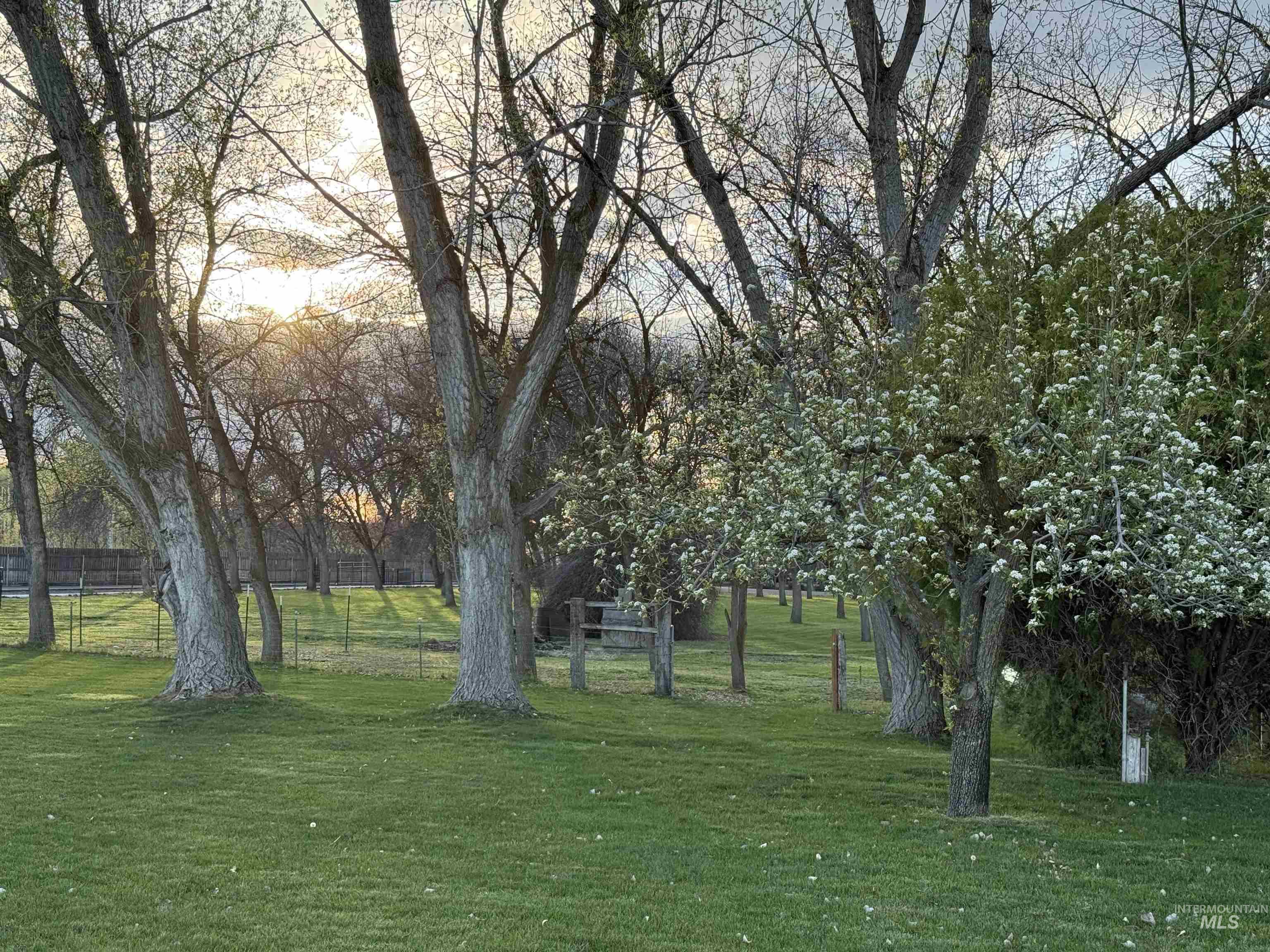 319 SnowMoody way, Ontario, Oregon 97914, 3 Bedrooms, 2 Bathrooms, Residential For Sale, Price $729,000,MLS 98980964