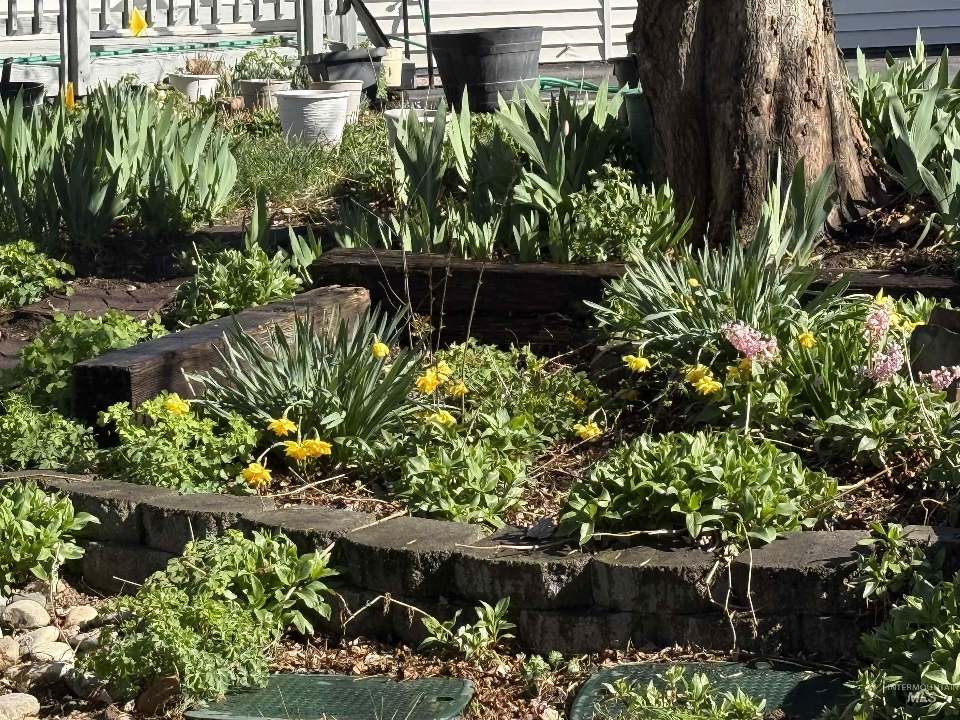 319 SnowMoody way, Ontario, Oregon 97914, 3 Bedrooms, 2 Bathrooms, Residential For Sale, Price $729,000, 98980964