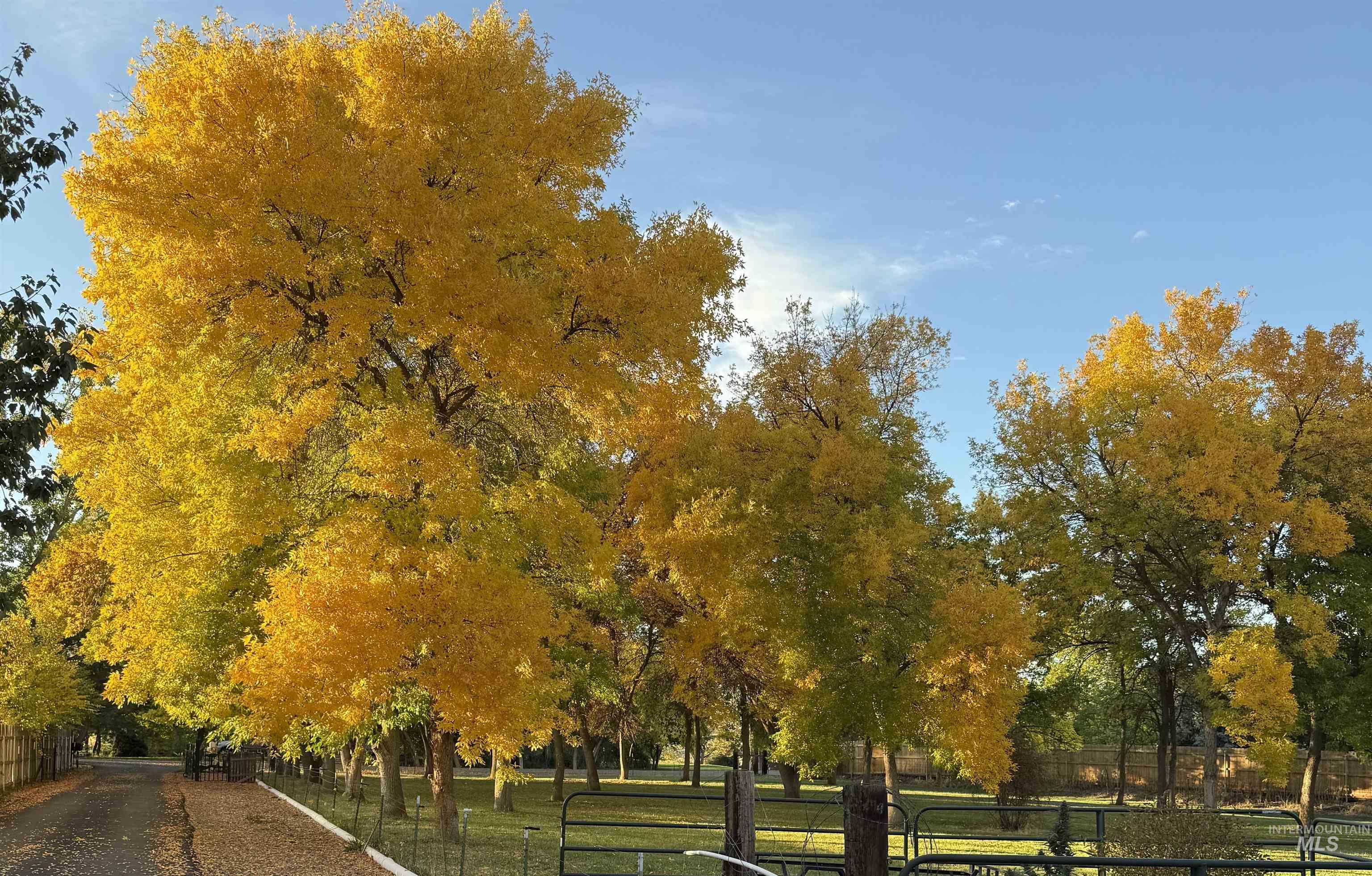 319 SnowMoody way, Ontario, Oregon 97914, 3 Bedrooms, 2 Bathrooms, Residential For Sale, Price $729,000,MLS 98980964