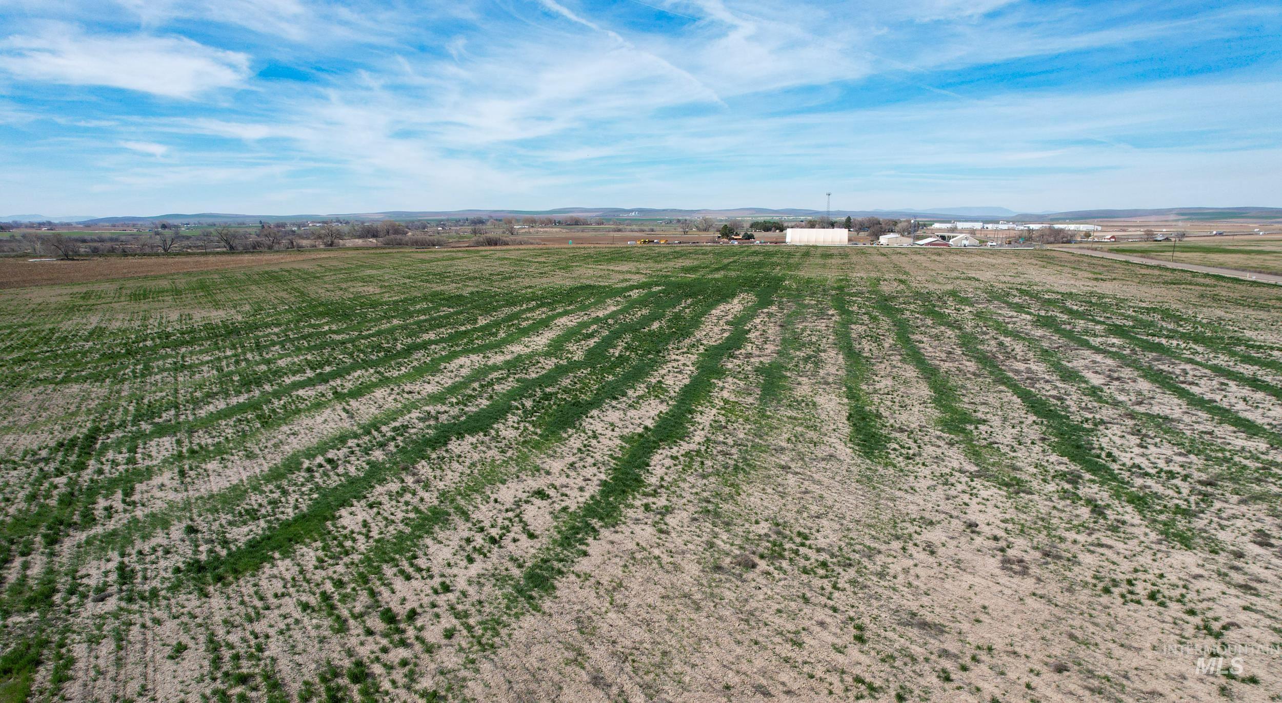 4465 Oak Road, Ontario, Oregon 97914, 4 Bedrooms, 2 Bathrooms, Farm & Ranch For Sale, Price $1, 98980974