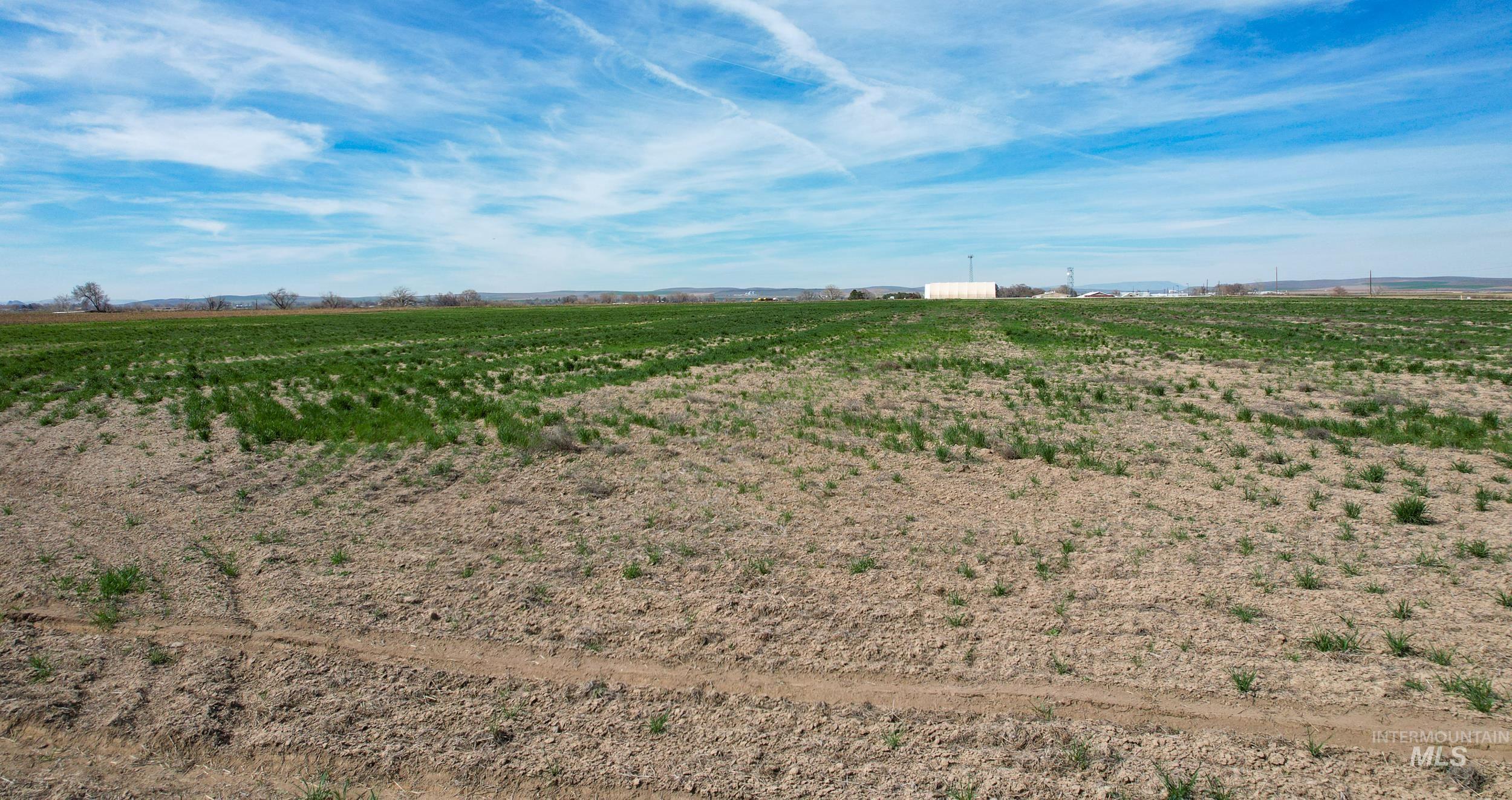 4465 Oak Road, Ontario, Oregon 97914, 4 Bedrooms, 2 Bathrooms, Farm & Ranch For Sale, Price $1, 98980974