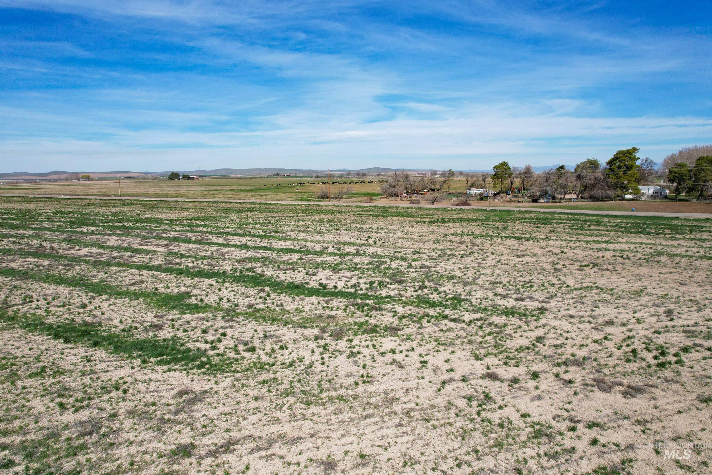 4465 Oak Road, Ontario, Oregon 97914, 4 Bedrooms, 2 Bathrooms, Farm & Ranch For Sale, Price $1, 98980974