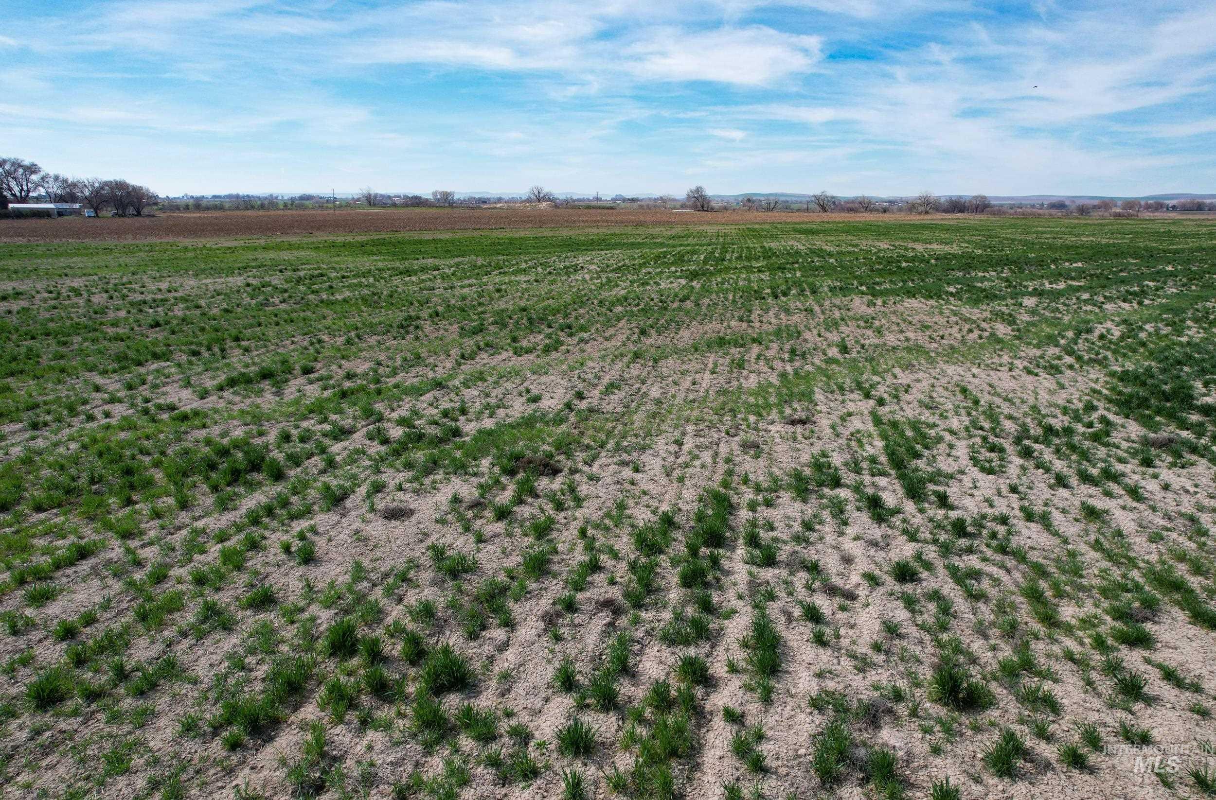 4465 Oak Road, Ontario, Oregon 97914, 4 Bedrooms, 2 Bathrooms, Farm & Ranch For Sale, Price $1, 98980974