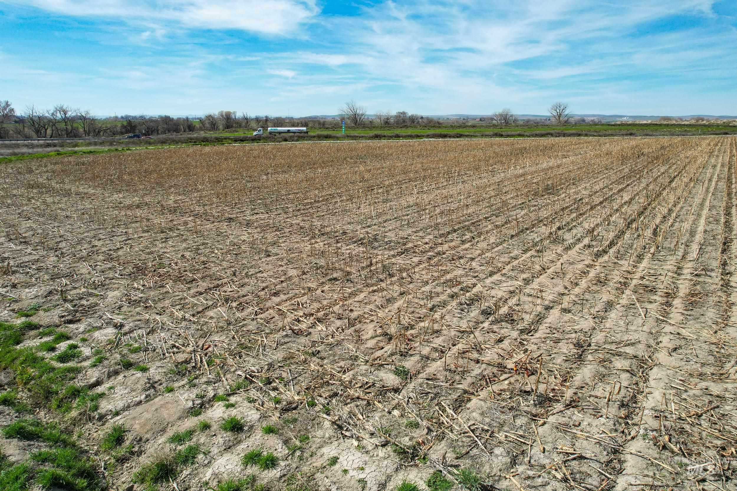 4465 Oak Road, Ontario, Oregon 97914, 4 Bedrooms, 2 Bathrooms, Farm & Ranch For Sale, Price $1, 98980974