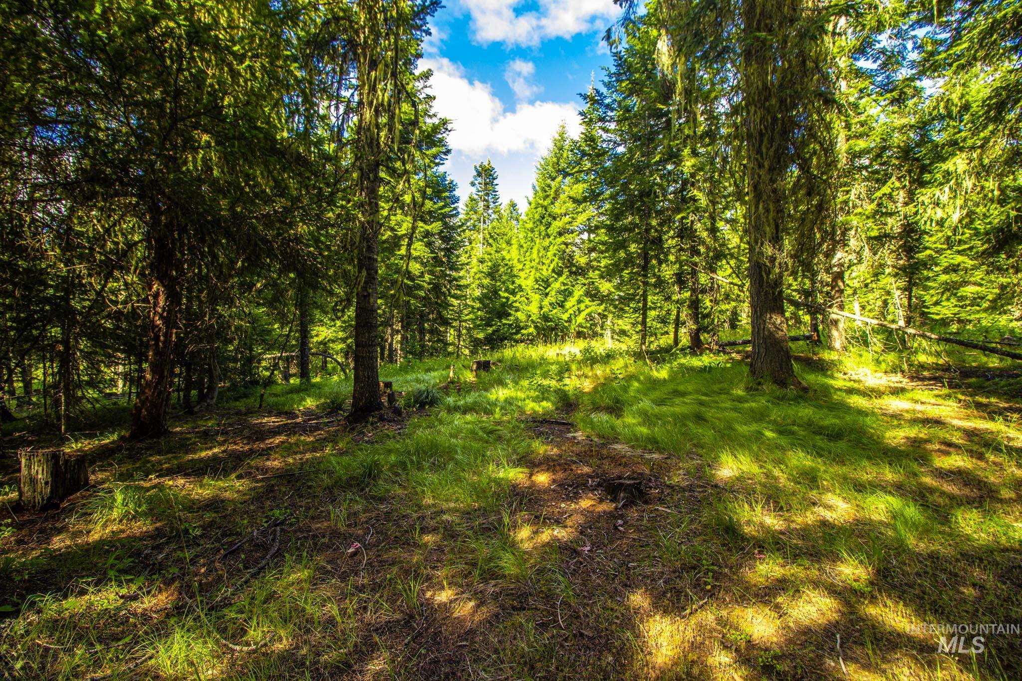 20888 Upper Fords Creek Rd, Weippe, Idaho 83553, 2 Bedrooms, 2 Bathrooms, Residential For Sale, Price $529,000, 98980995