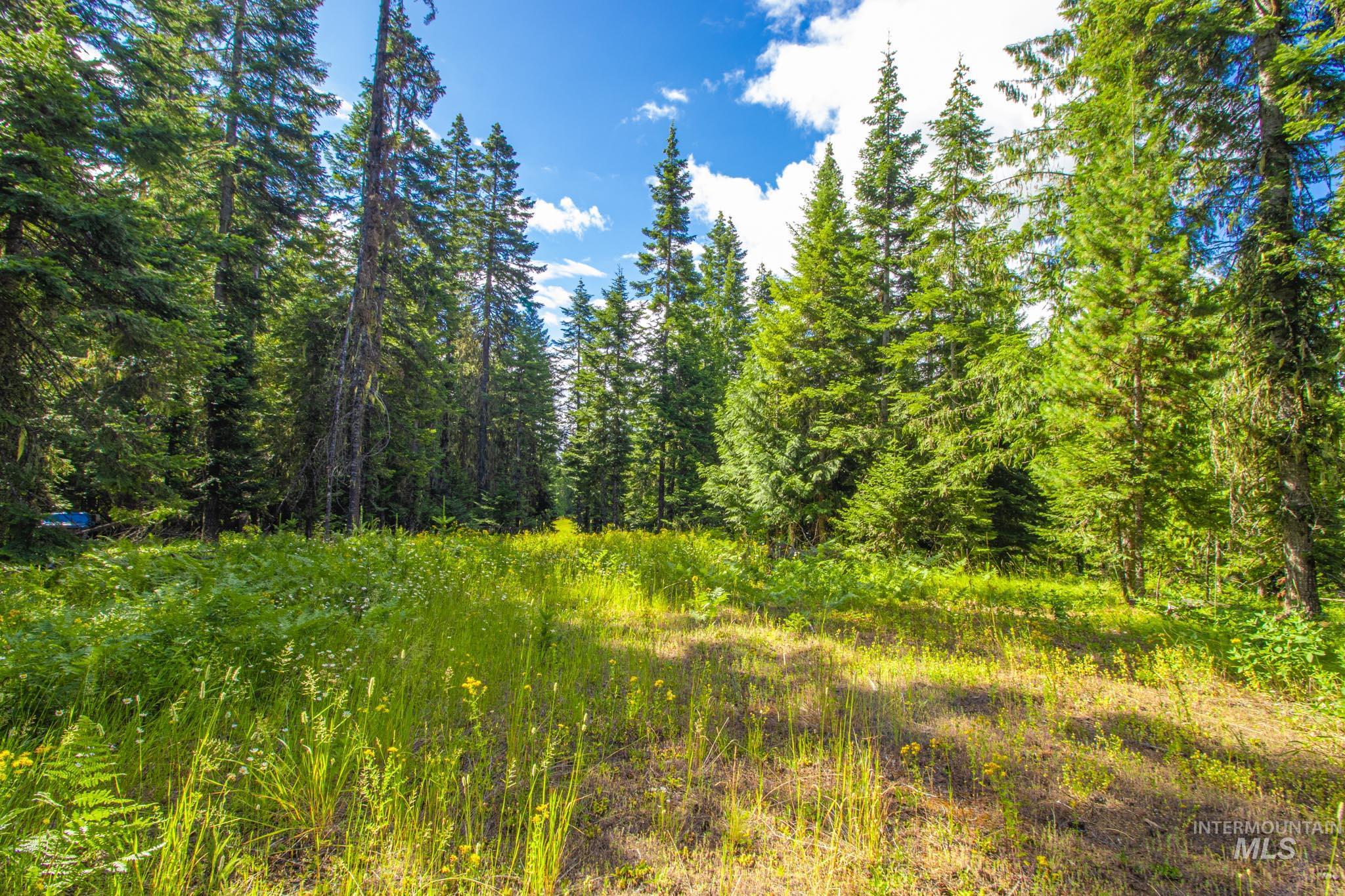 20888 Upper Fords Creek Rd, Weippe, Idaho 83553, 2 Bedrooms, 2 Bathrooms, Residential For Sale, Price $529,000, 98980995