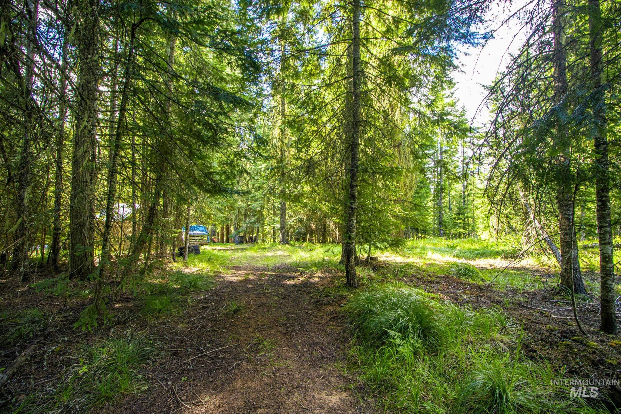 20888 Upper Fords Creek Rd, Weippe, Idaho 83553, 2 Bedrooms, 2 Bathrooms, Residential For Sale, Price $529,000, 98980995