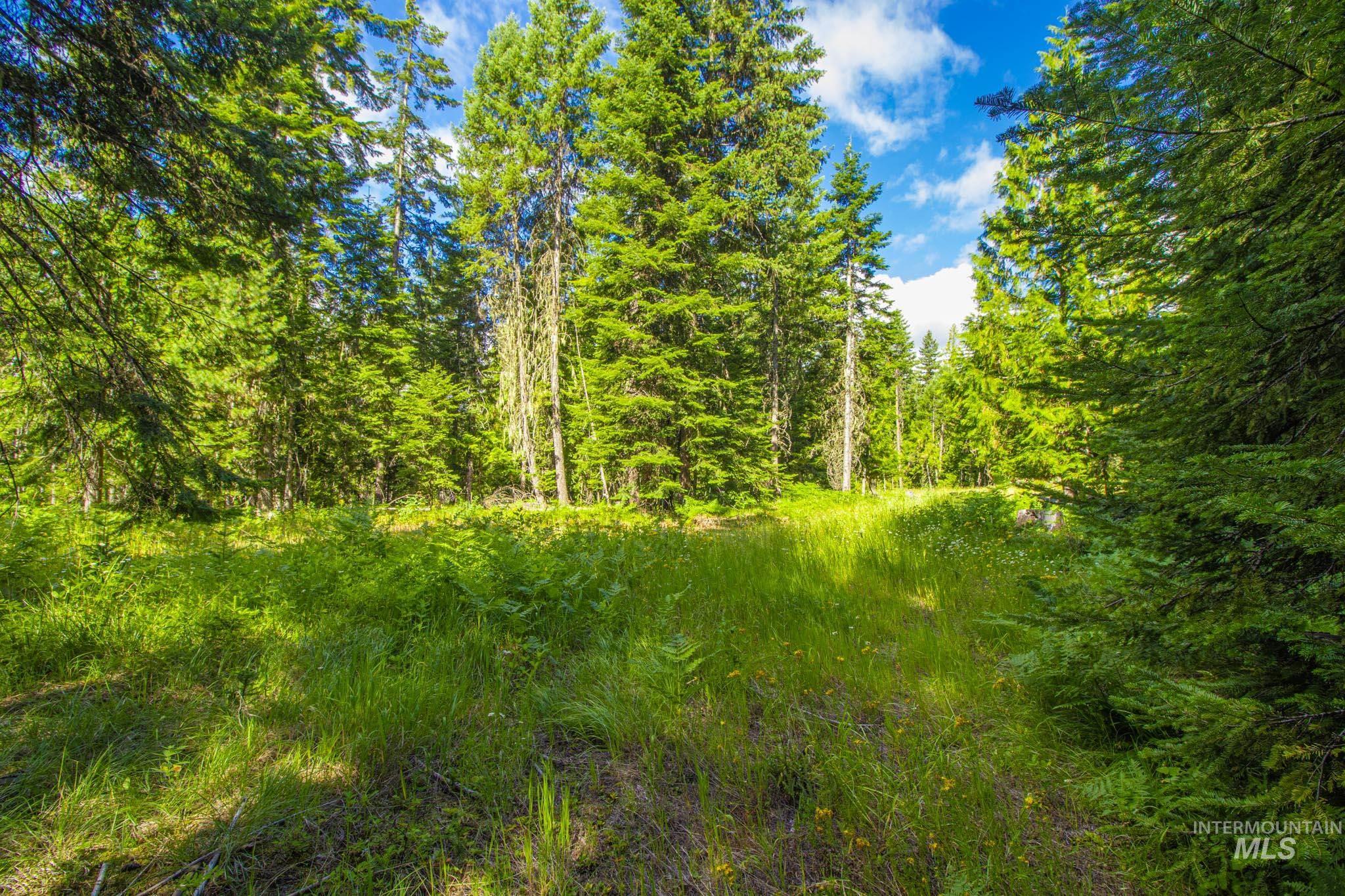 20888 Upper Fords Creek Rd, Weippe, Idaho 83553, 2 Bedrooms, 2 Bathrooms, Residential For Sale, Price $529,000, 98980995