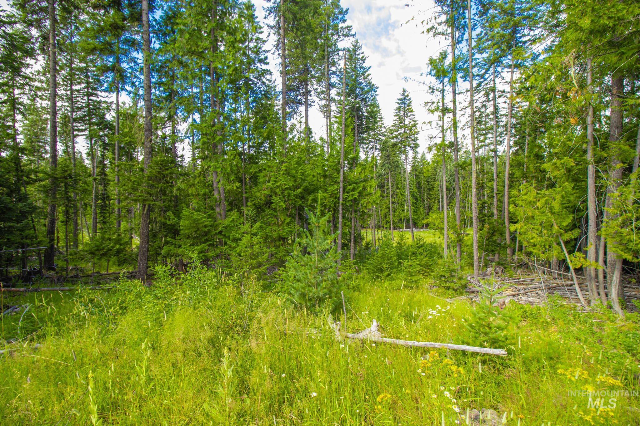 20888 Upper Fords Creek Rd, Weippe, Idaho 83553, 2 Bedrooms, 2 Bathrooms, Residential For Sale, Price $529,000, 98980995