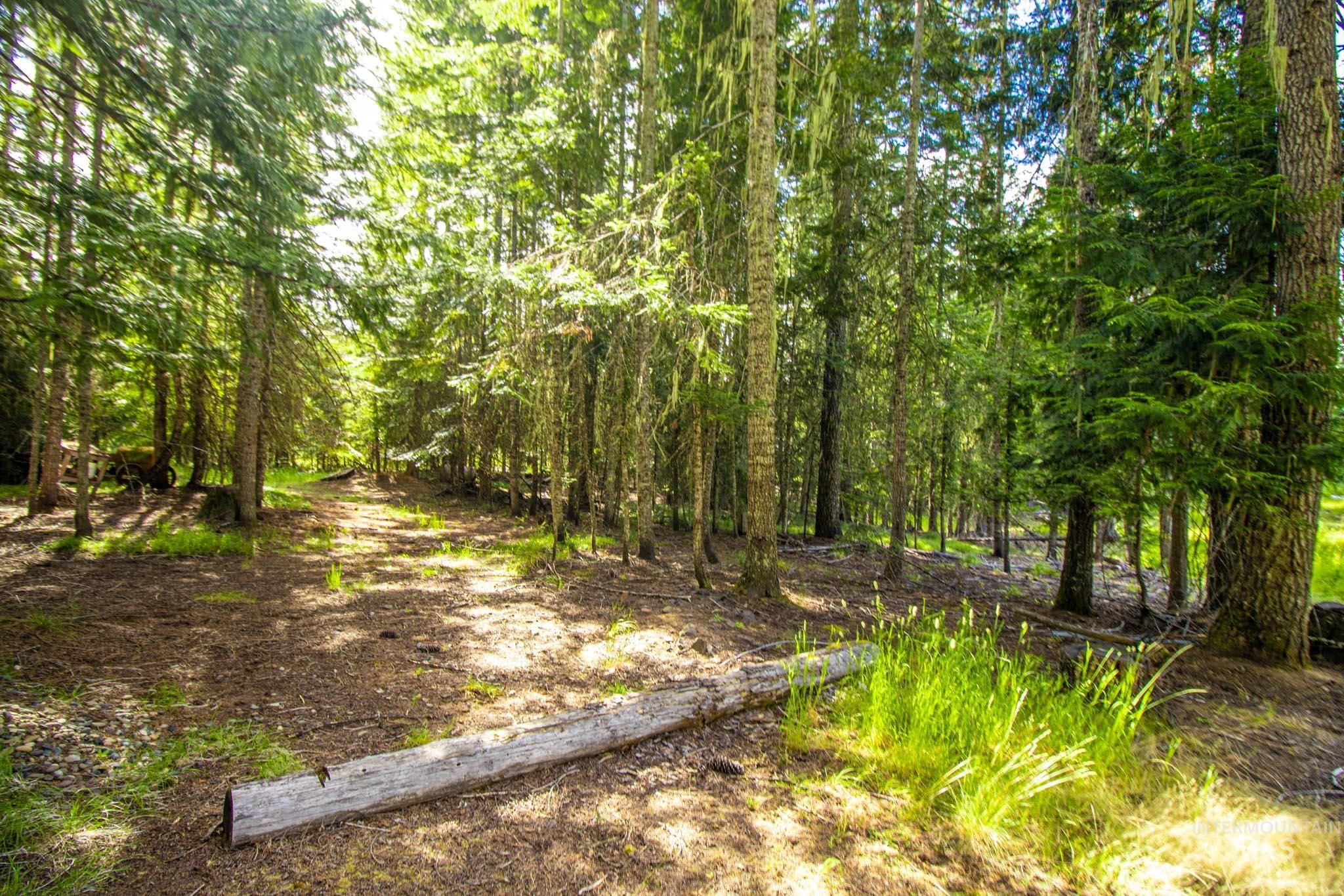 20888 Upper Fords Creek Rd, Weippe, Idaho 83553, 2 Bedrooms, 2 Bathrooms, Residential For Sale, Price $529,000, 98980995