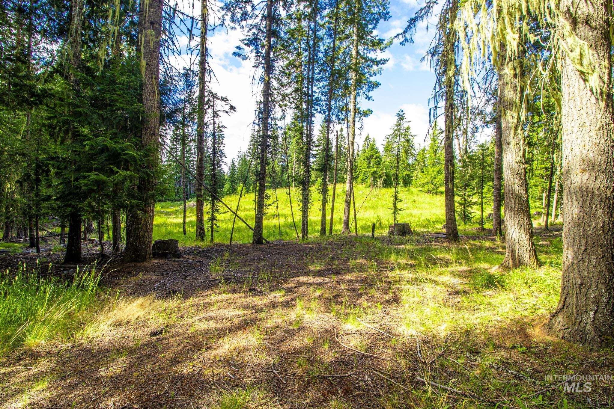 20888 Upper Fords Creek Rd, Weippe, Idaho 83553, 2 Bedrooms, 2 Bathrooms, Residential For Sale, Price $529,000, 98980995