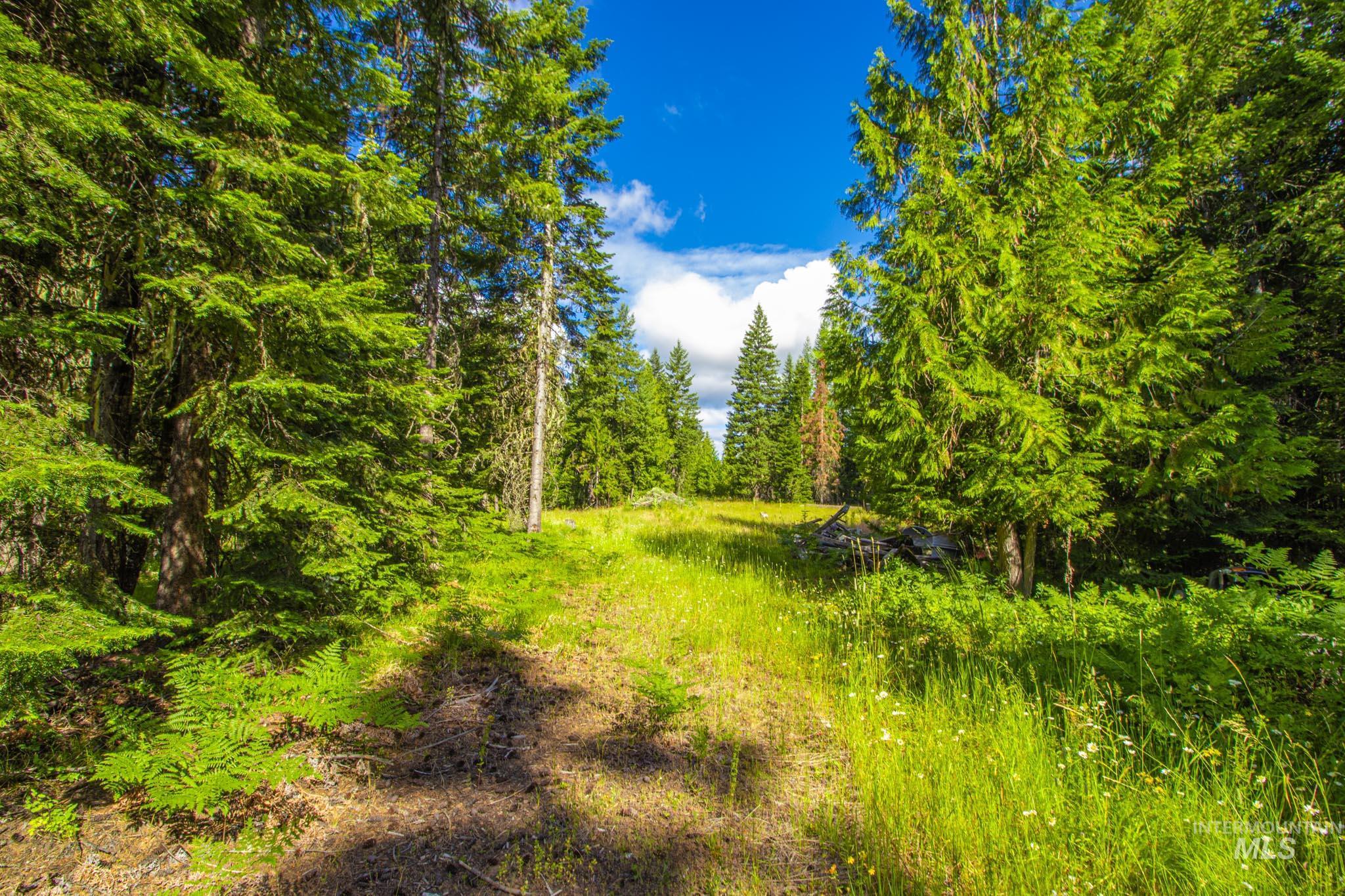 20888 Upper Fords Creek Rd, Weippe, Idaho 83553, 2 Bedrooms, 2 Bathrooms, Residential For Sale, Price $529,000, 98980995