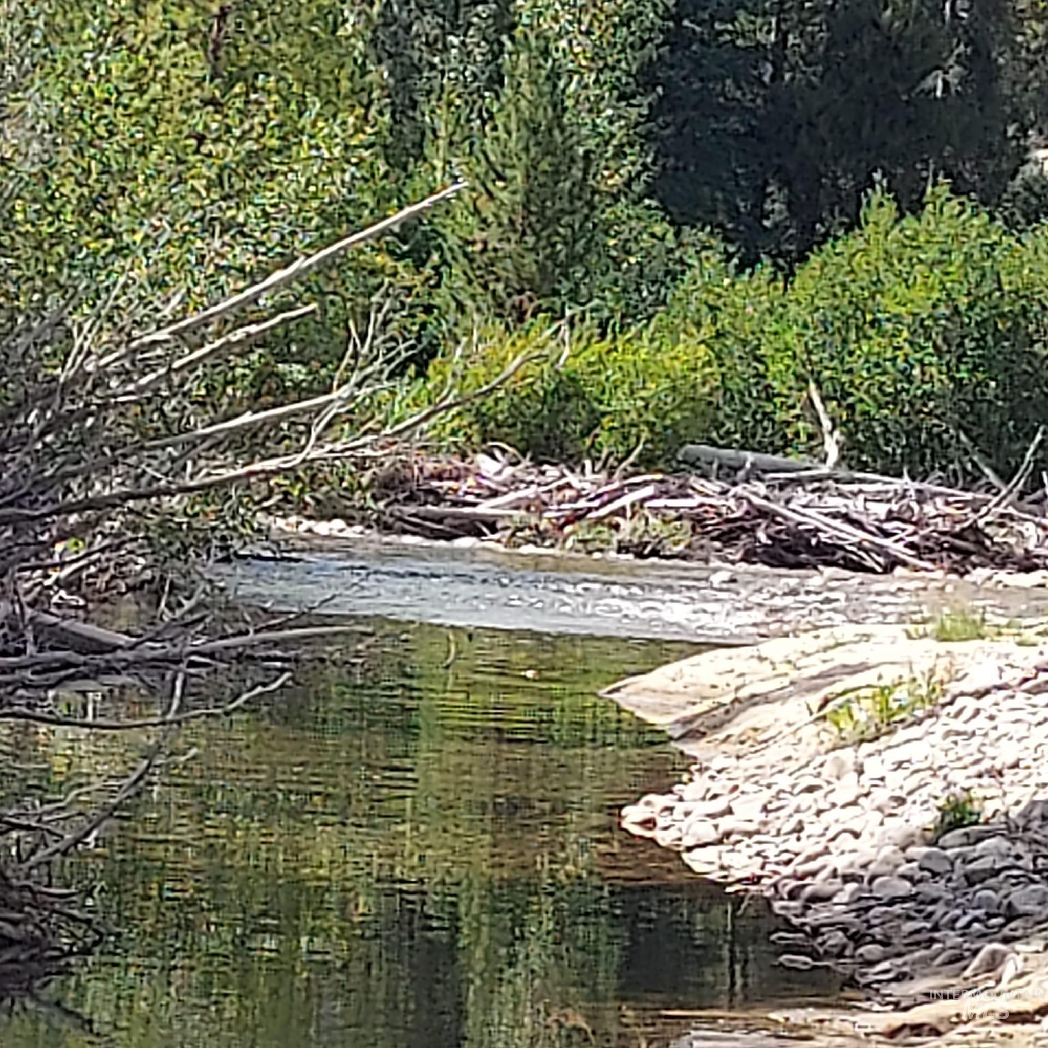 2079 Fleck SMT FS079 Rd, Fairfield, Idaho 83327, 2 Bedrooms, 1 Bathroom, Residential For Sale, Price $599,000, 98980996