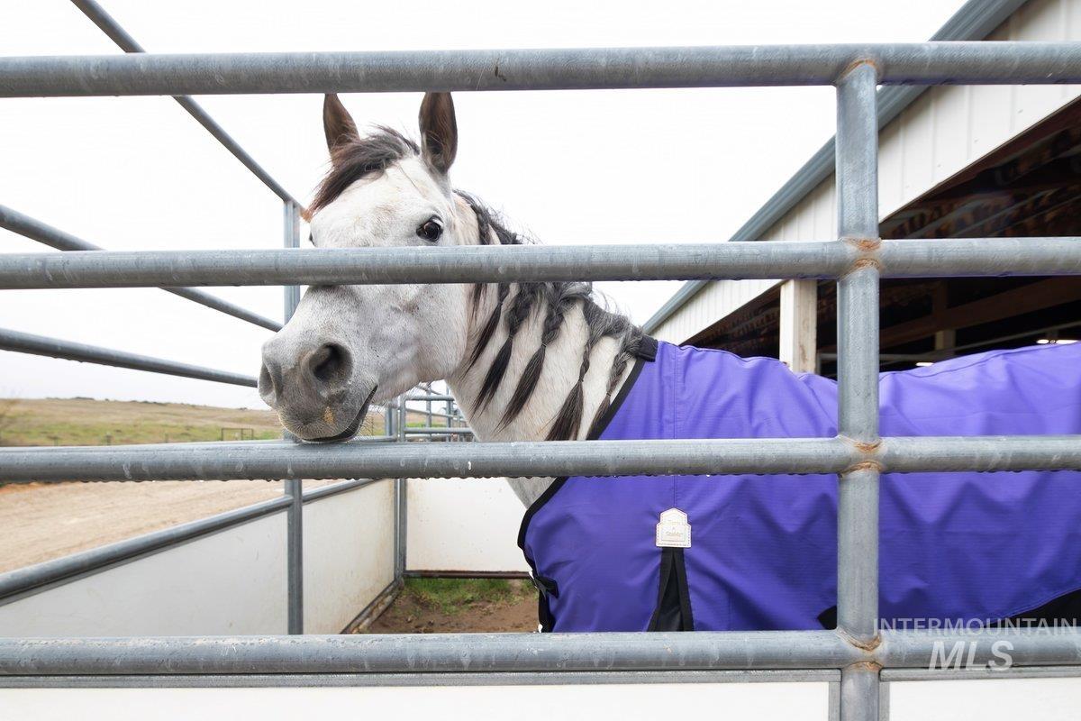 6451 Little Freezeout Rd., Caldwell, Idaho 83607, 7 Bedrooms, 6.5 Bathrooms, Residential For Sale, Price $3,599,000, 98981046