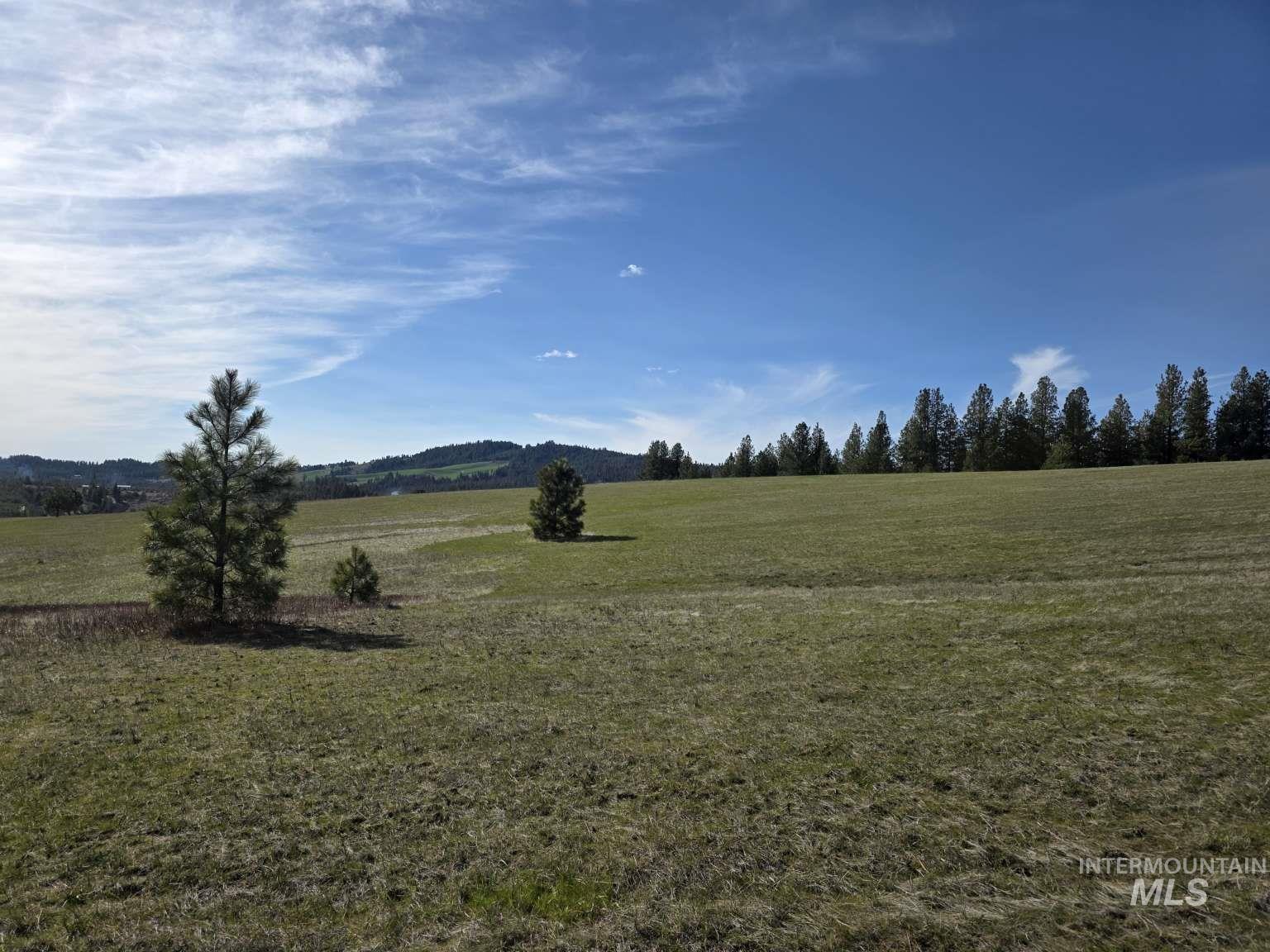 1077 W Liberty Ln, Viola, Idaho 83872, Land For Sale, Price $290,000, 98981089