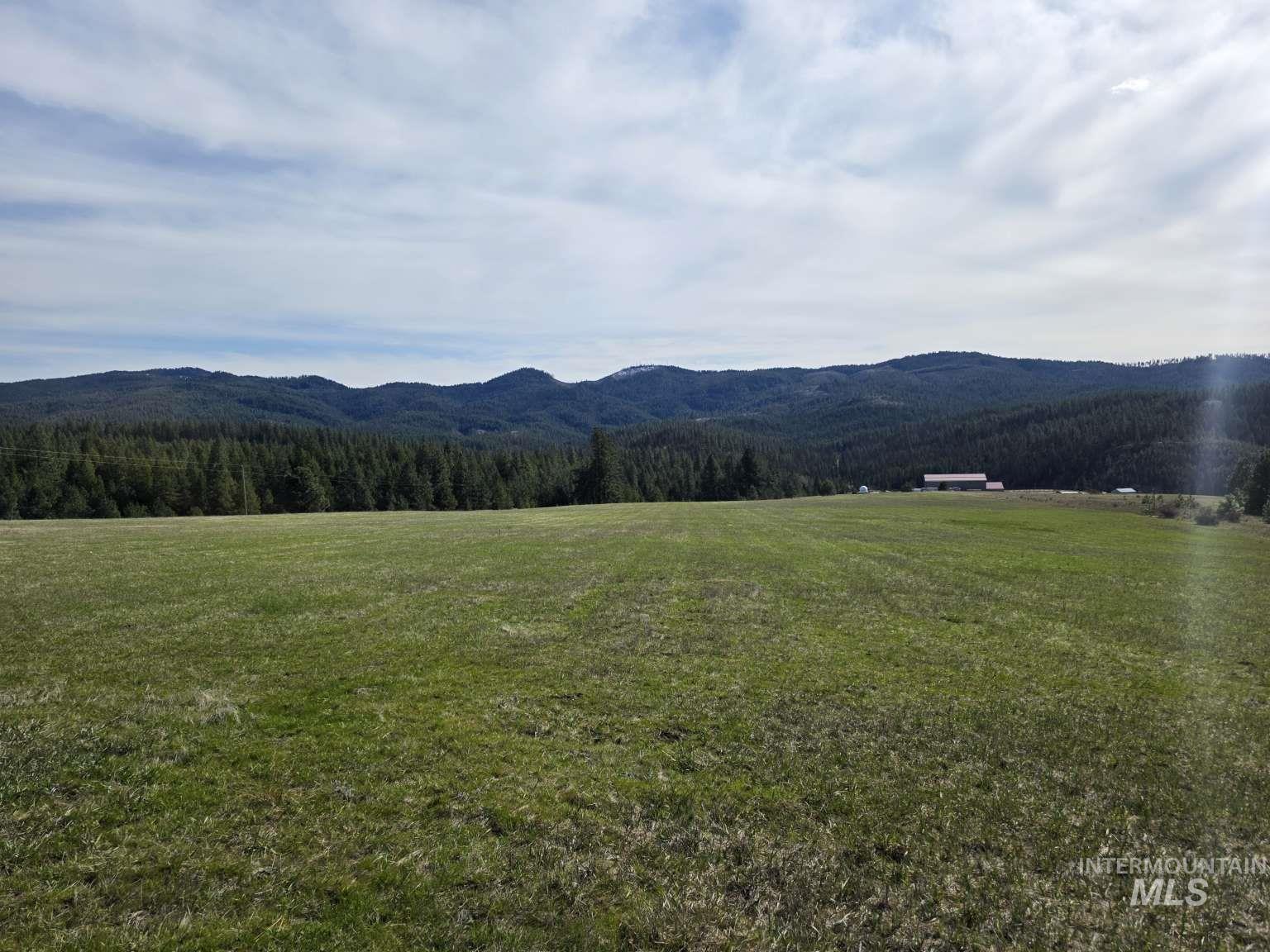 1077 W Liberty Ln, Viola, Idaho 83872, Land For Sale, Price $290,000, 98981089