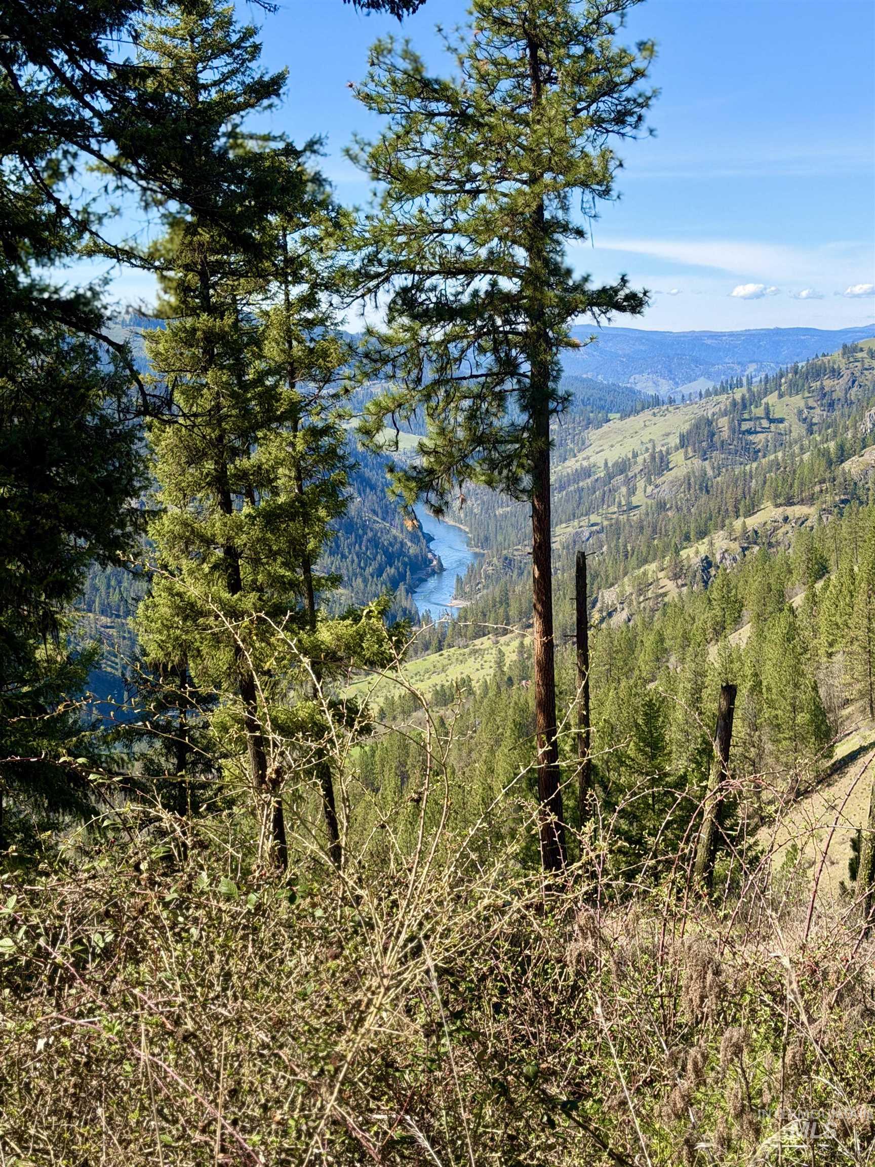 4012 Highway 11, Orofino, Idaho 83544, Land For Sale, Price $265,000, 98981096