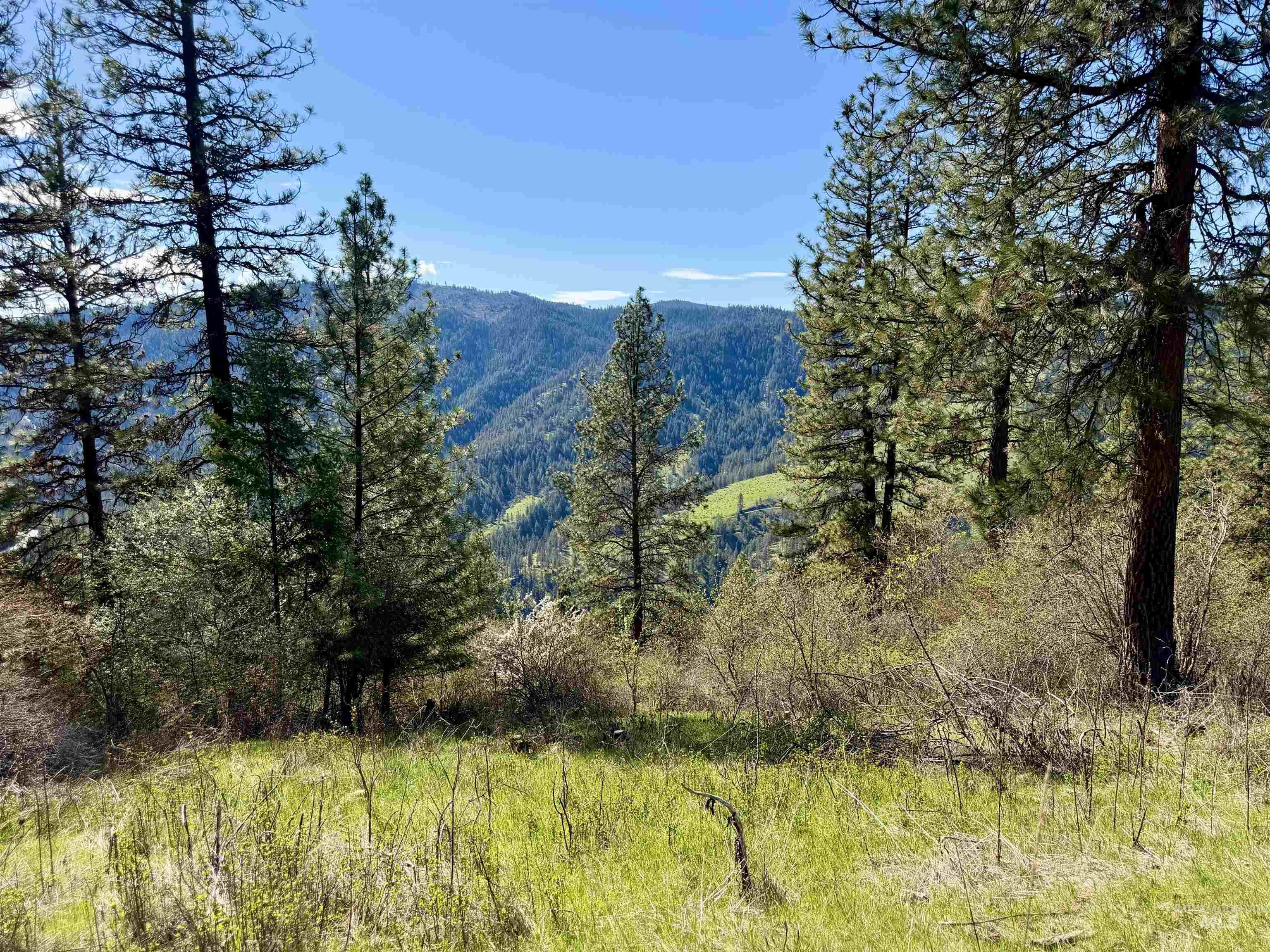 4012 Highway 11, Orofino, Idaho 83544, Land For Sale, Price $265,000, 98981096