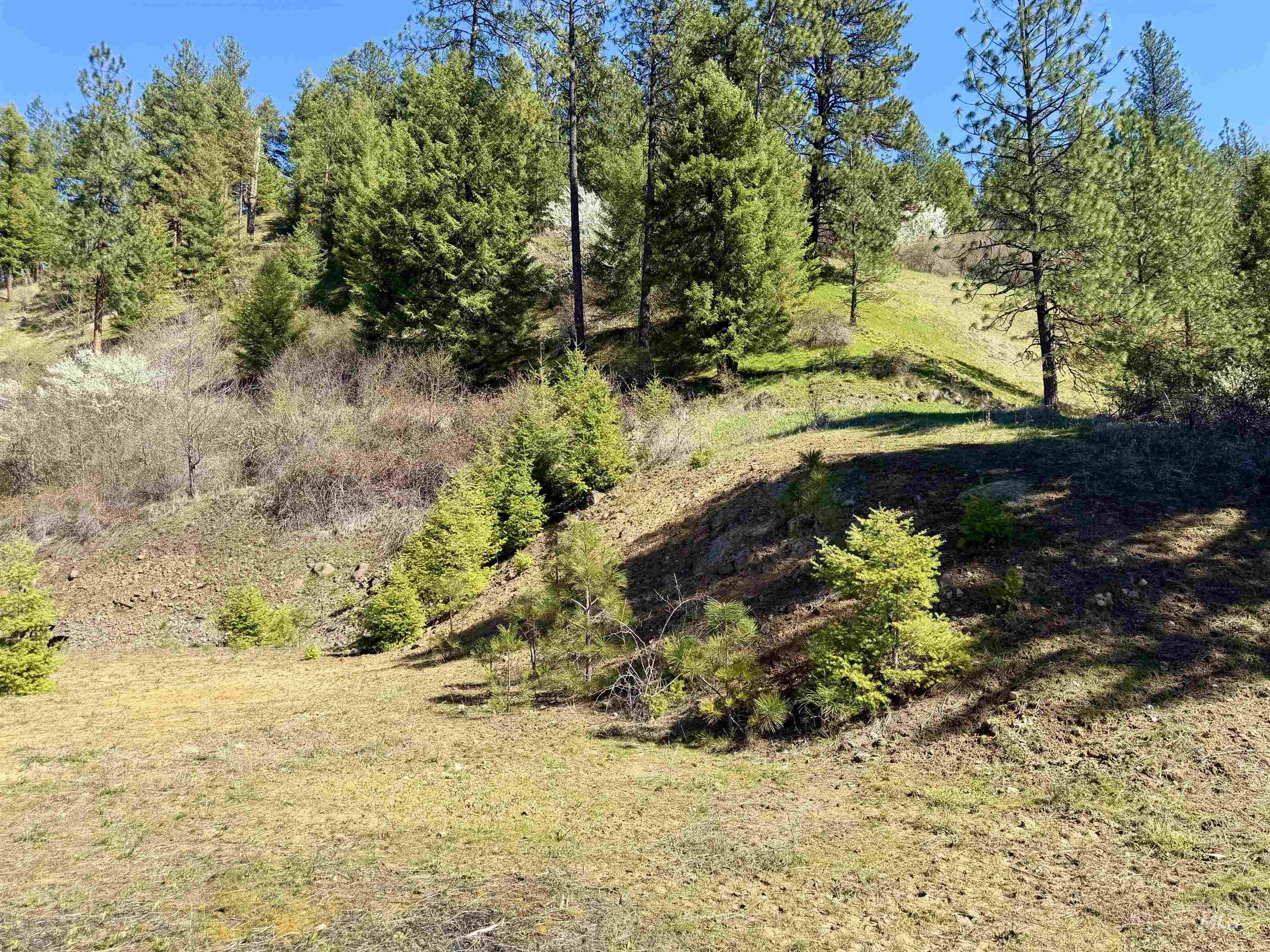 4012 Highway 11, Orofino, Idaho 83544, Land For Sale, Price $265,000, 98981096