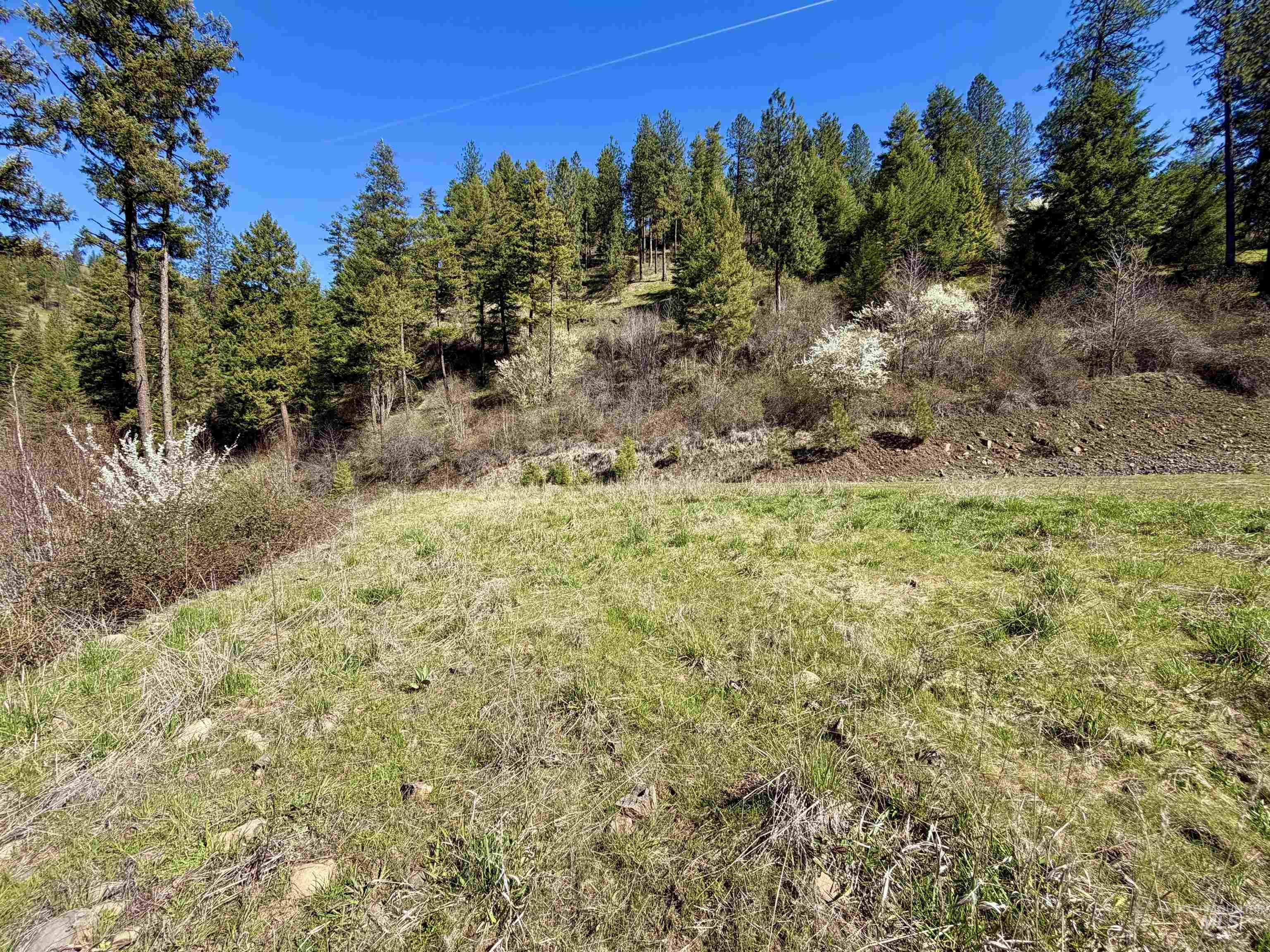 4012 Highway 11, Orofino, Idaho 83544, Land For Sale, Price $265,000, 98981096