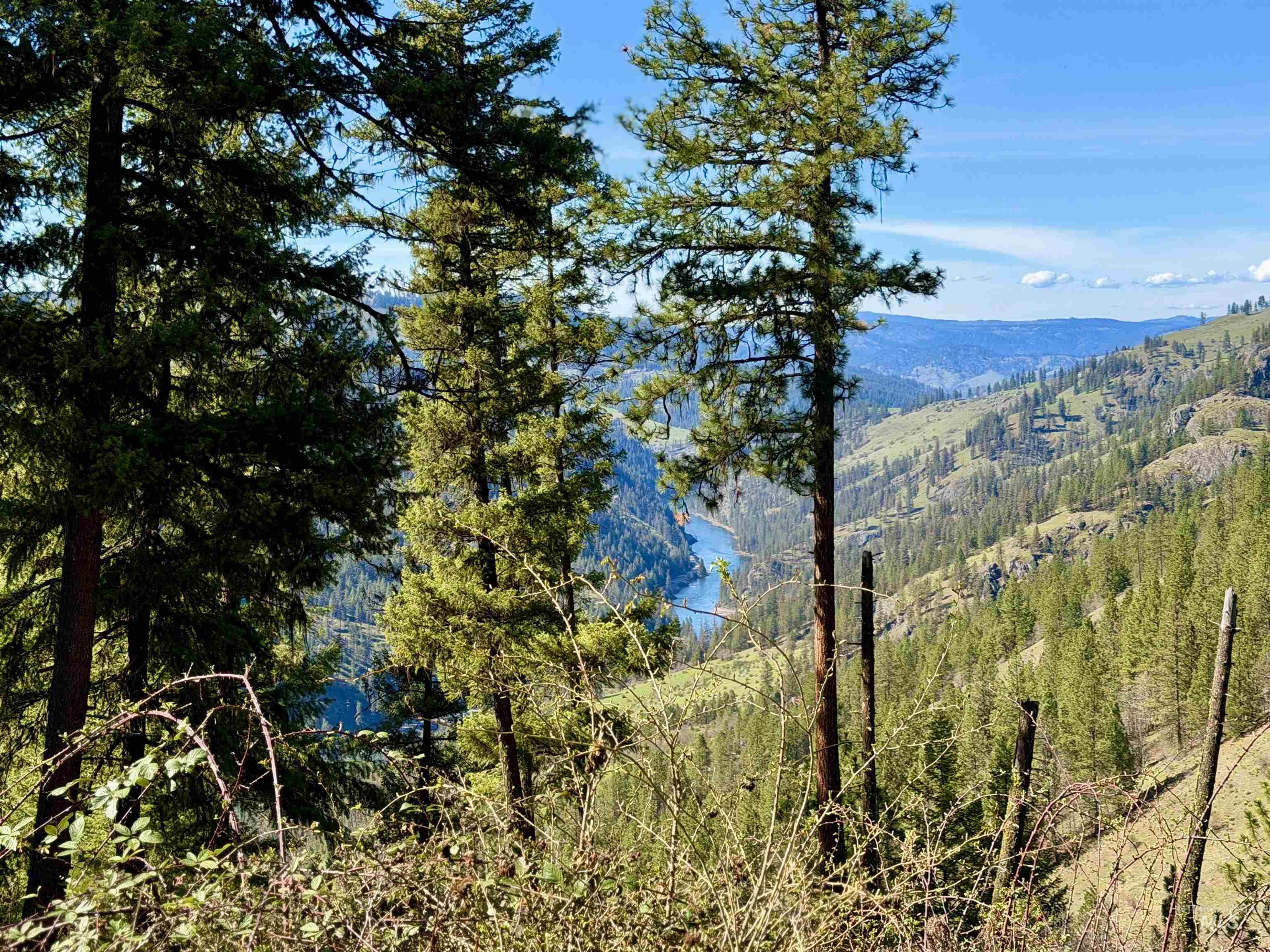 4012 Highway 11, Orofino, Idaho 83544, Land For Sale, Price $265,000, 98981096