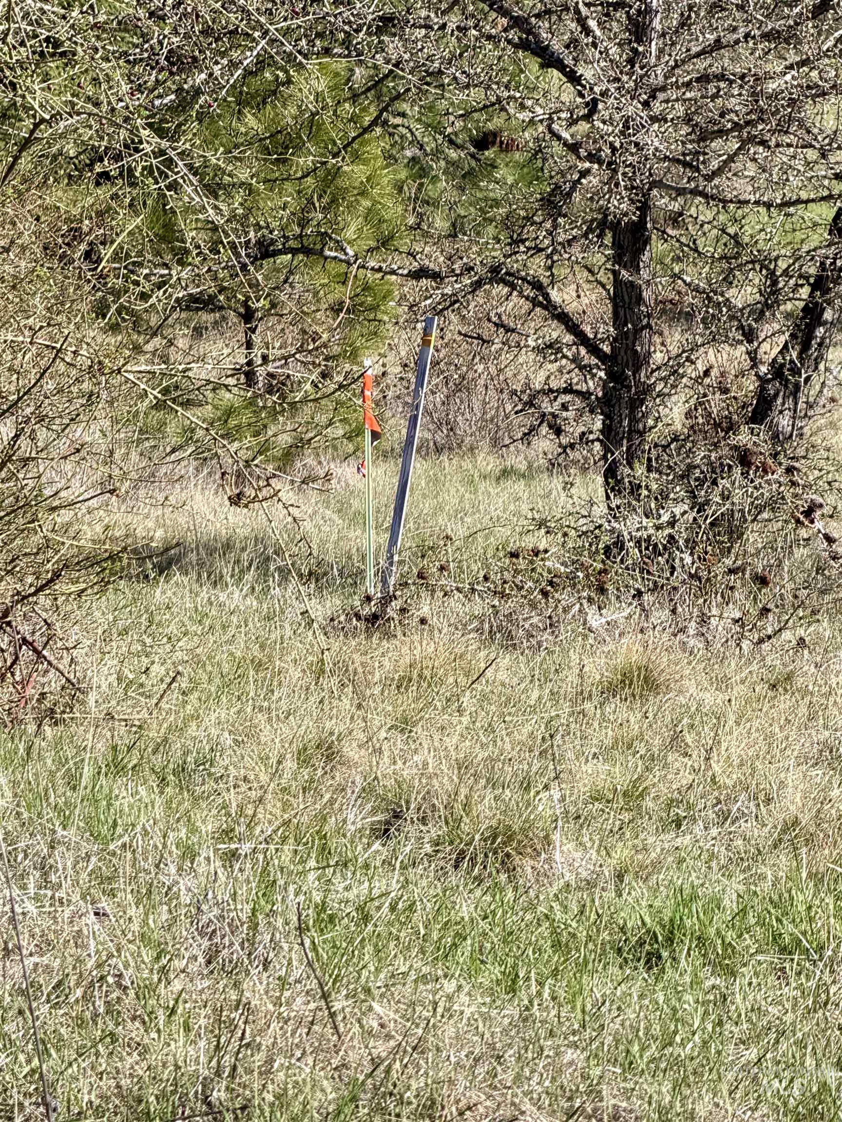 4012 Highway 11, Orofino, Idaho 83544, Land For Sale, Price $265,000, 98981096