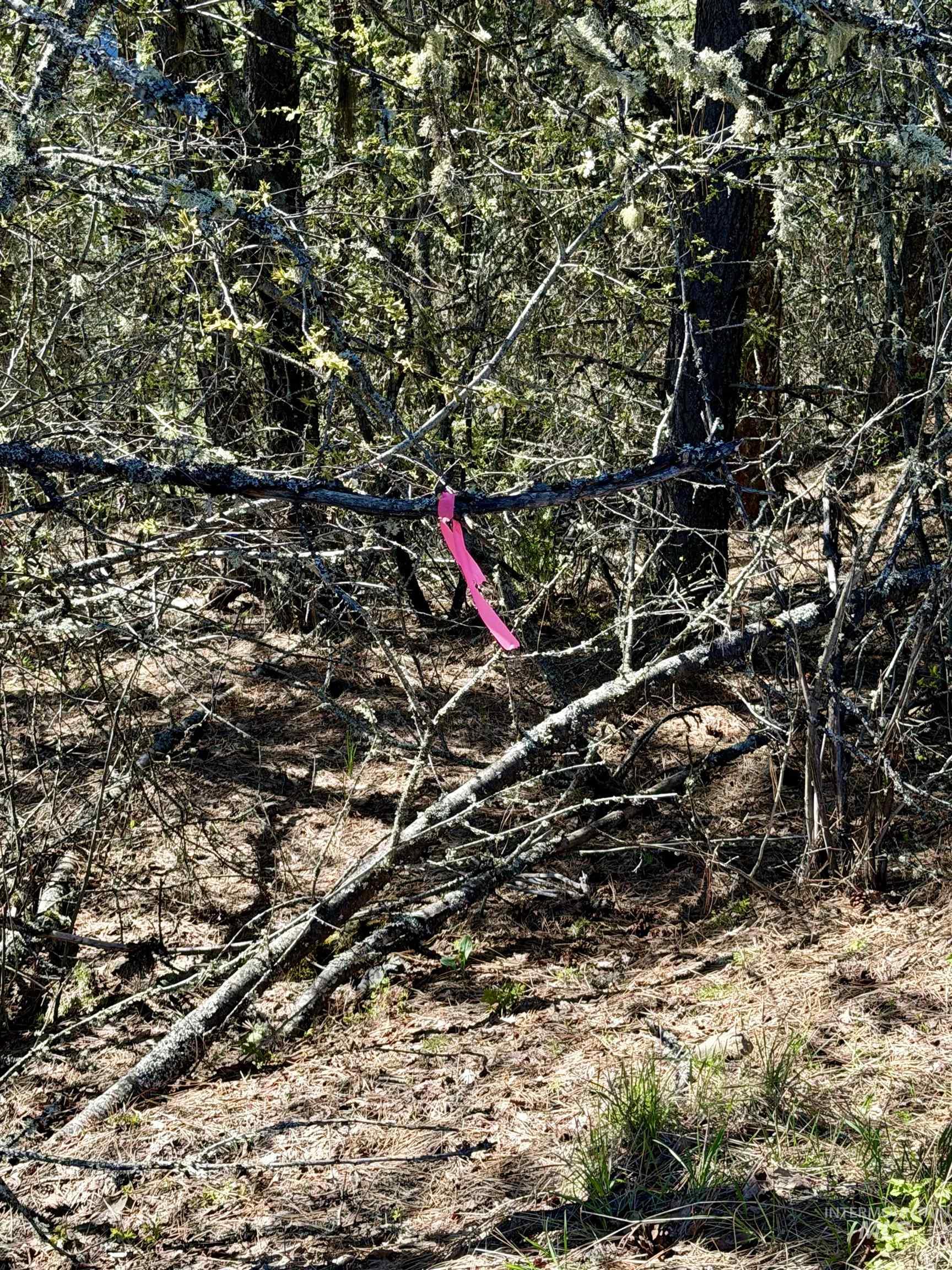 4012 Highway 11, Orofino, Idaho 83544, Land For Sale, Price $265,000, 98981096