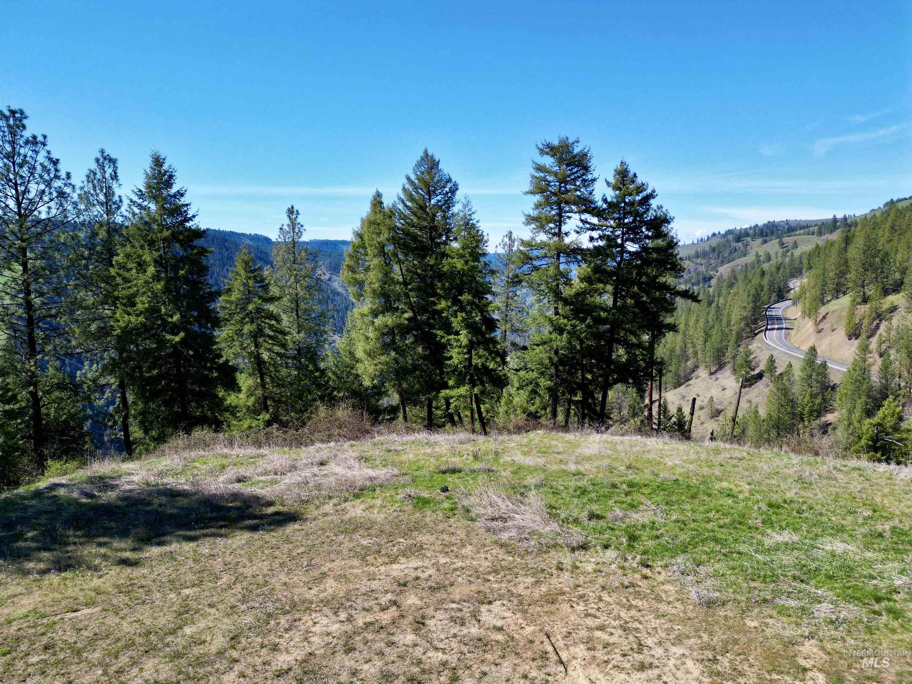 4012 Highway 11, Orofino, Idaho 83544, Land For Sale, Price $265,000, 98981096