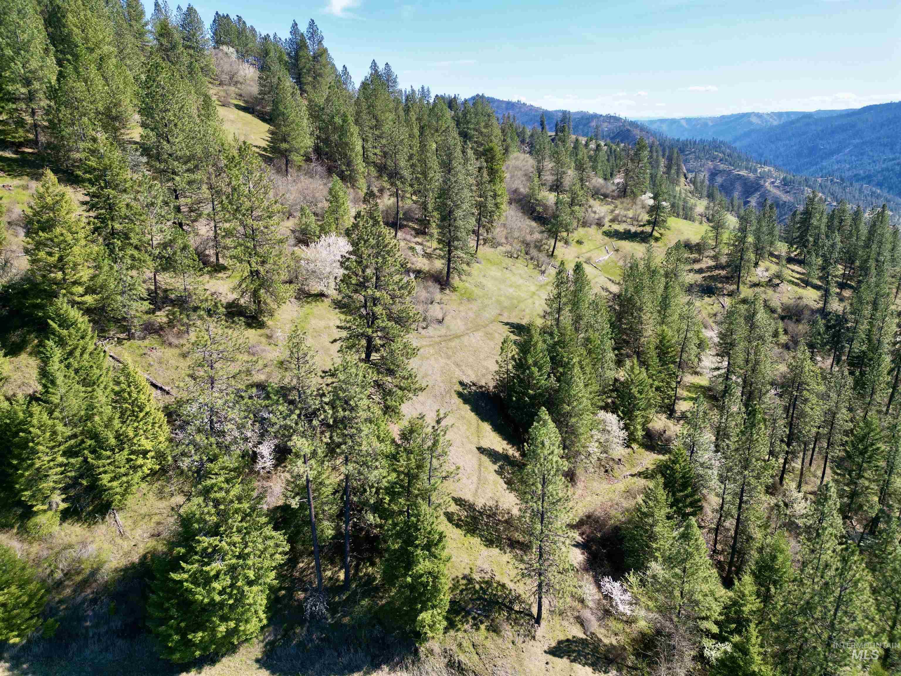 4012 Highway 11, Orofino, Idaho 83544, Land For Sale, Price $265,000, 98981096