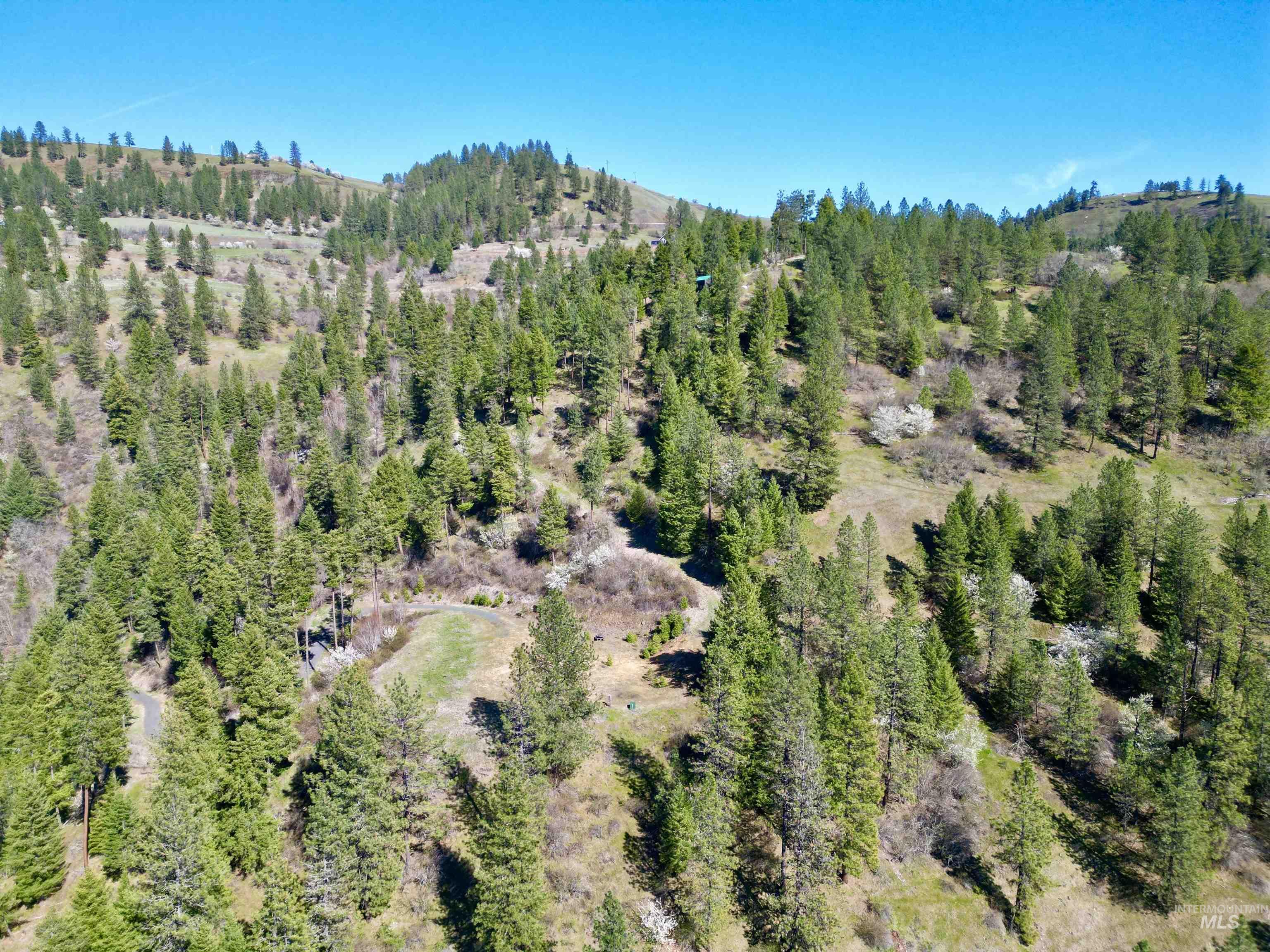 4012 Highway 11, Orofino, Idaho 83544, Land For Sale, Price $265,000, 98981096