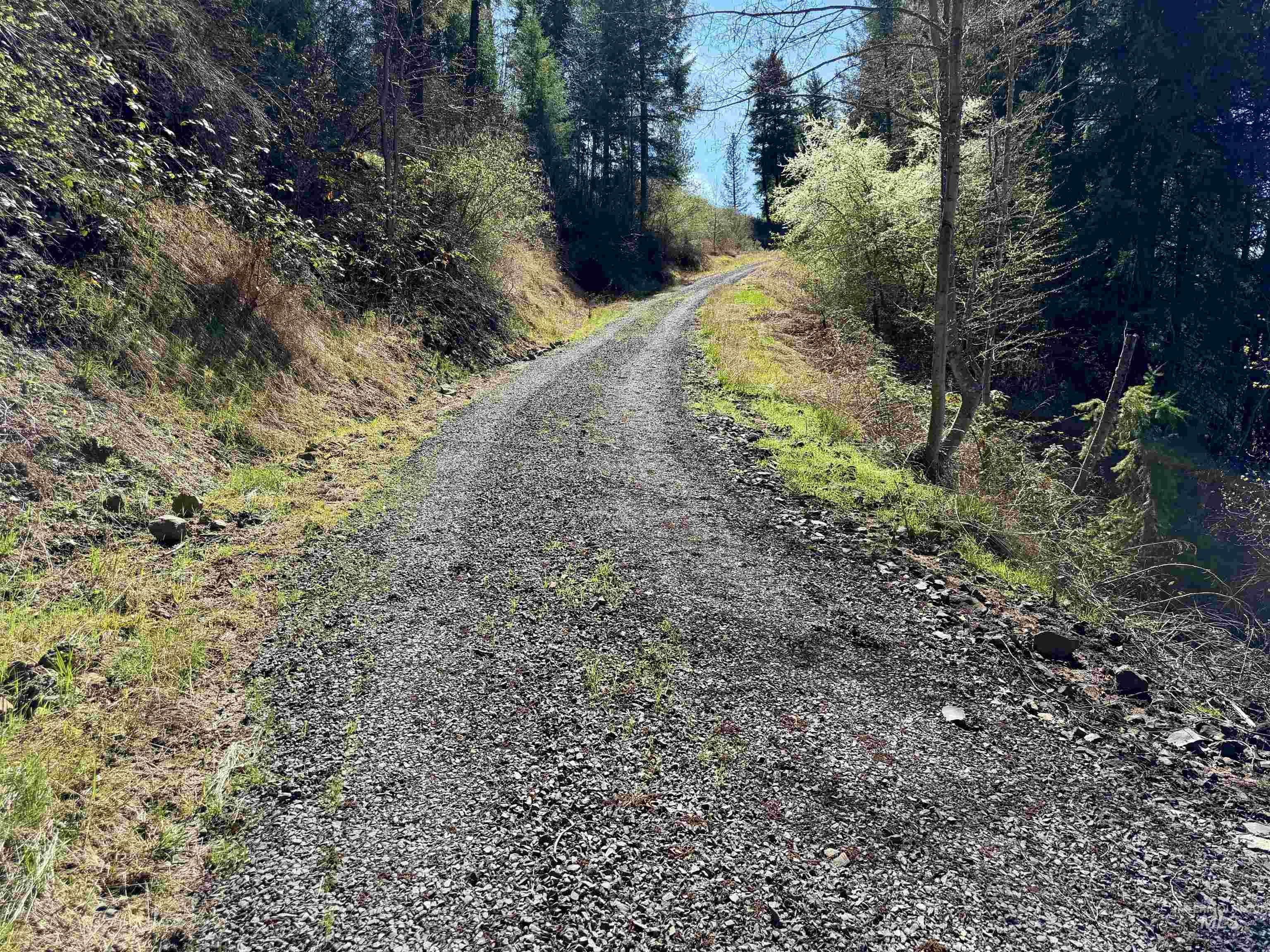 4012 Highway 11, Orofino, Idaho 83544, Land For Sale, Price $265,000, 98981096