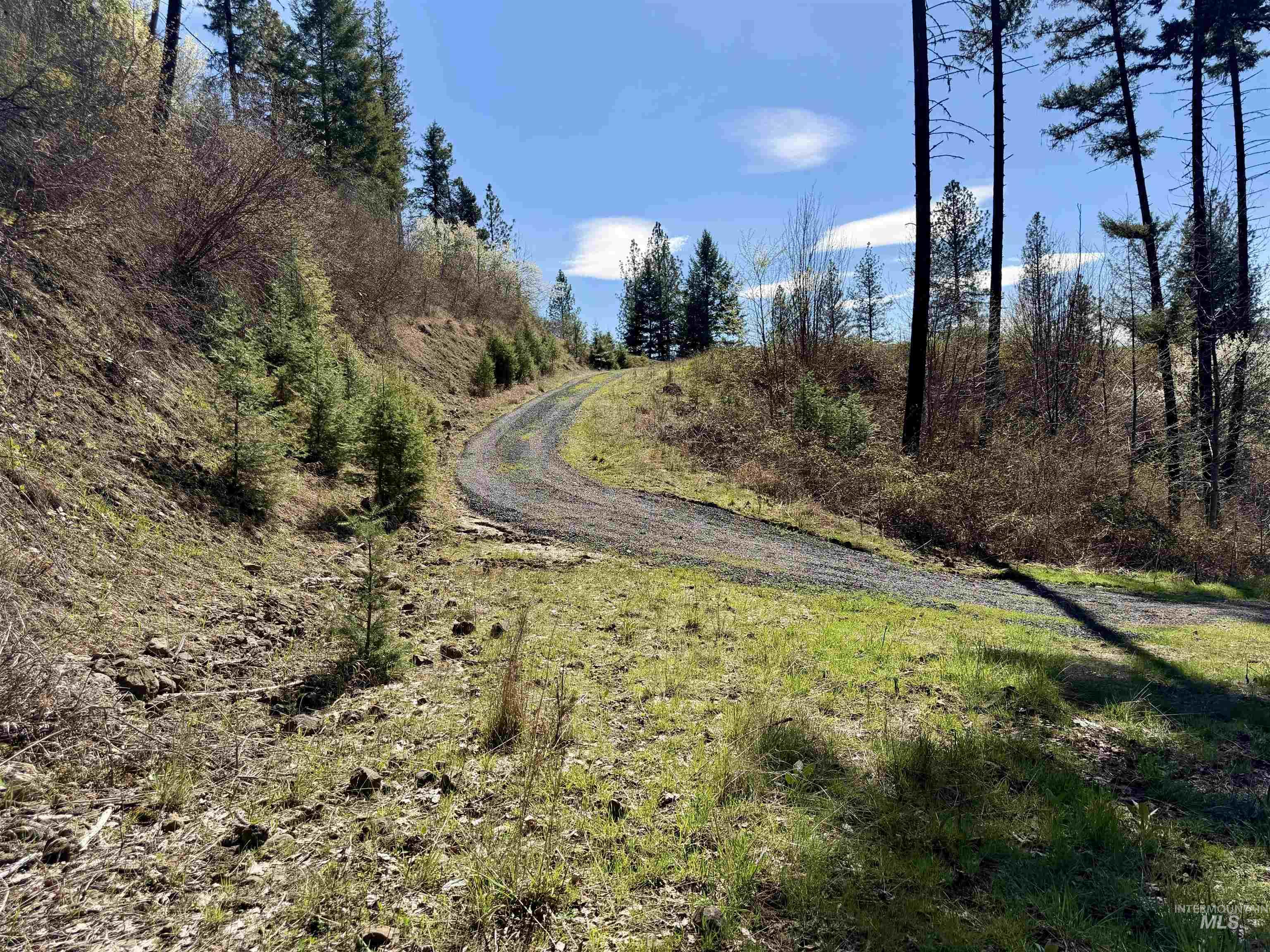 4012 Highway 11, Orofino, Idaho 83544, Land For Sale, Price $265,000, 98981096