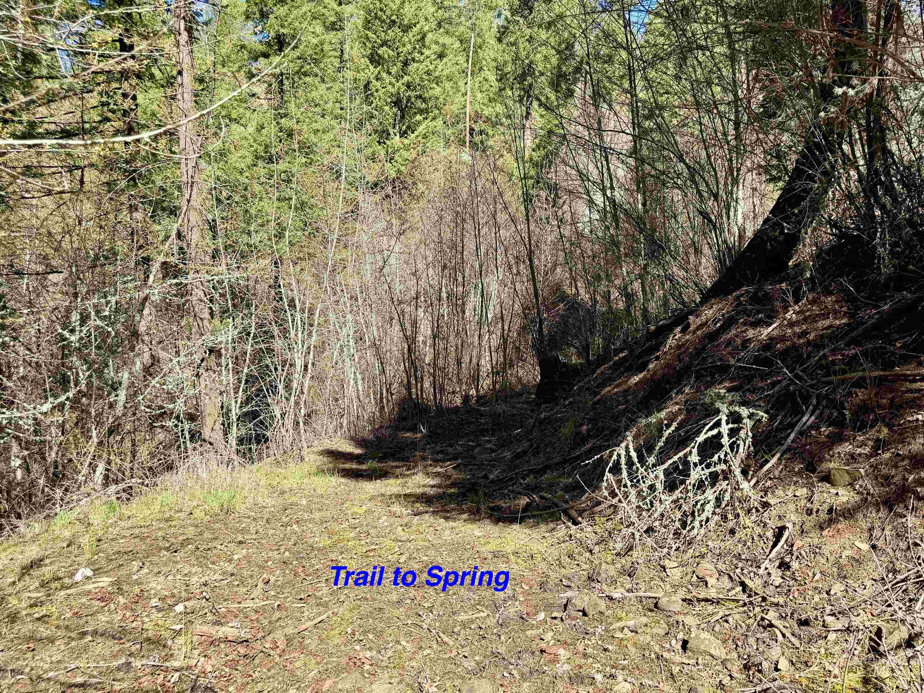 4012 Highway 11, Orofino, Idaho 83544, Land For Sale, Price $265,000, 98981096