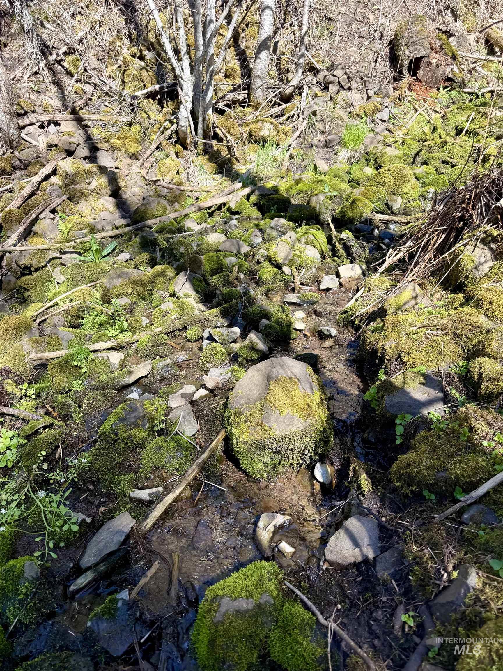 4012 Highway 11, Orofino, Idaho 83544, Land For Sale, Price $265,000, 98981096